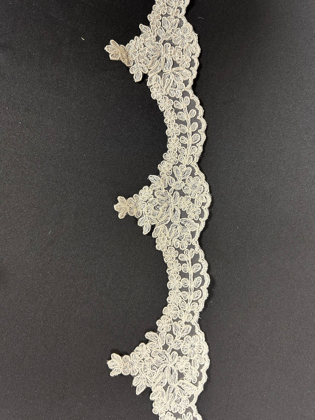 Ivory Corded Lace Trim - T16