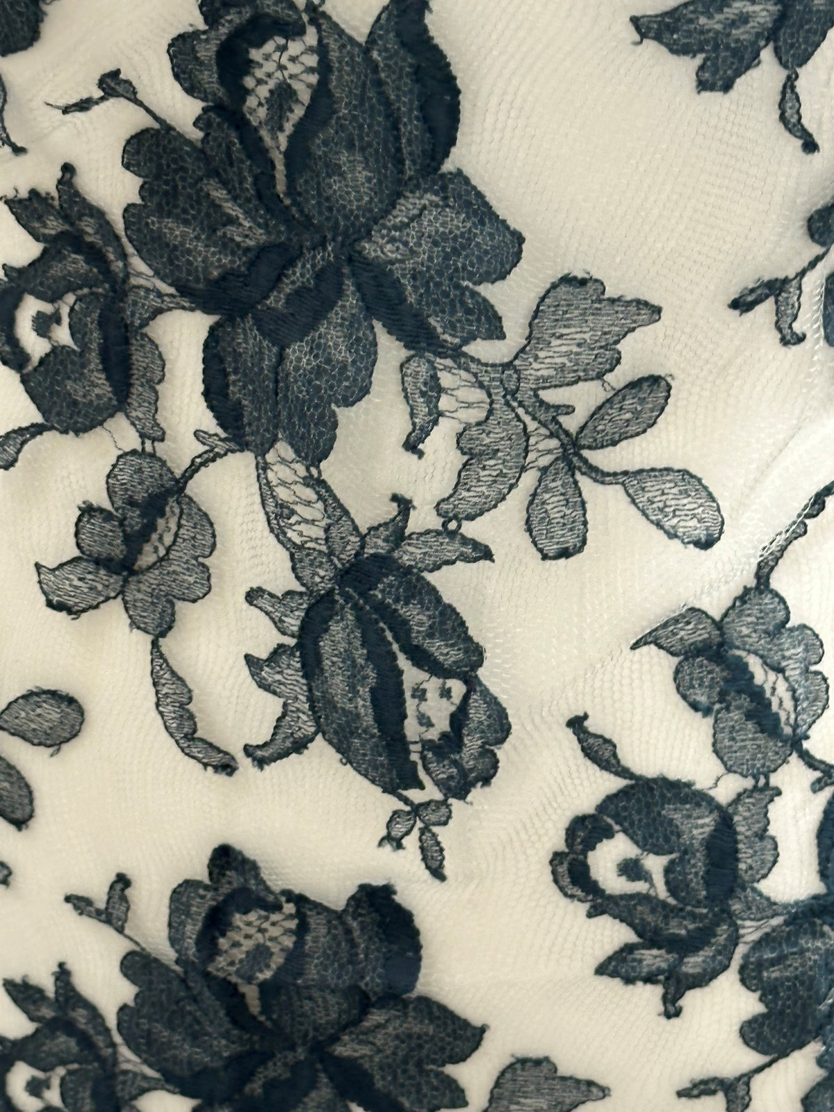 French Blue Lace - Harper