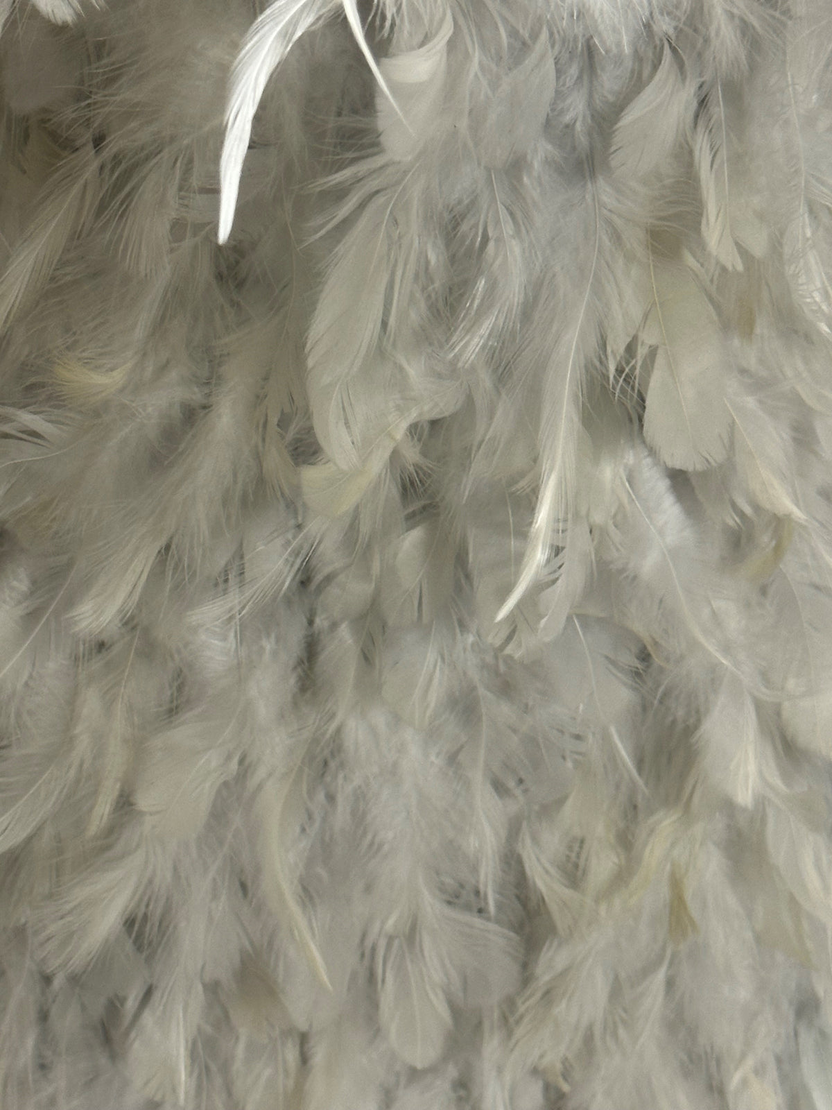 Ivory Feather Tulle - Rubina