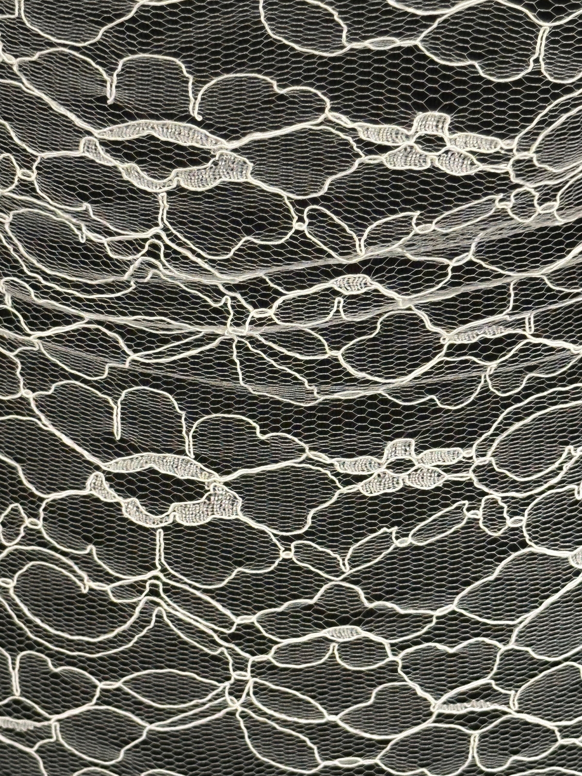 Ivory Corded Lace - Leanne