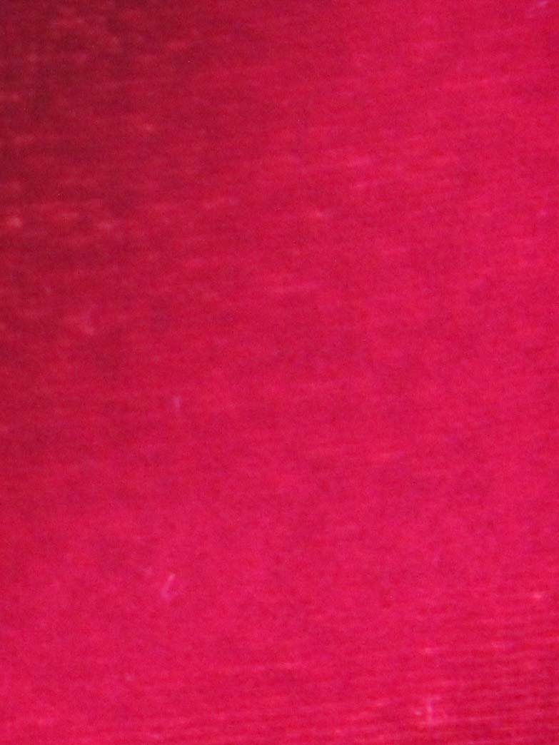 Cherry Pink Silk Velvet - Indulgence