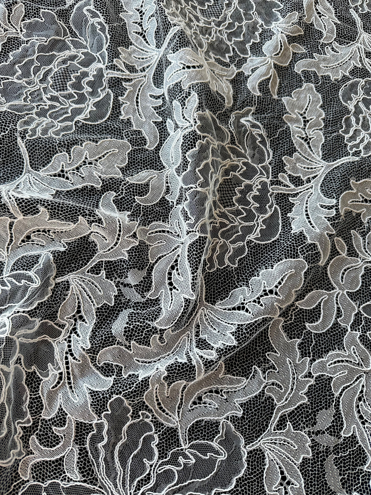 Ivory Corded Chantilly Lace - Terri