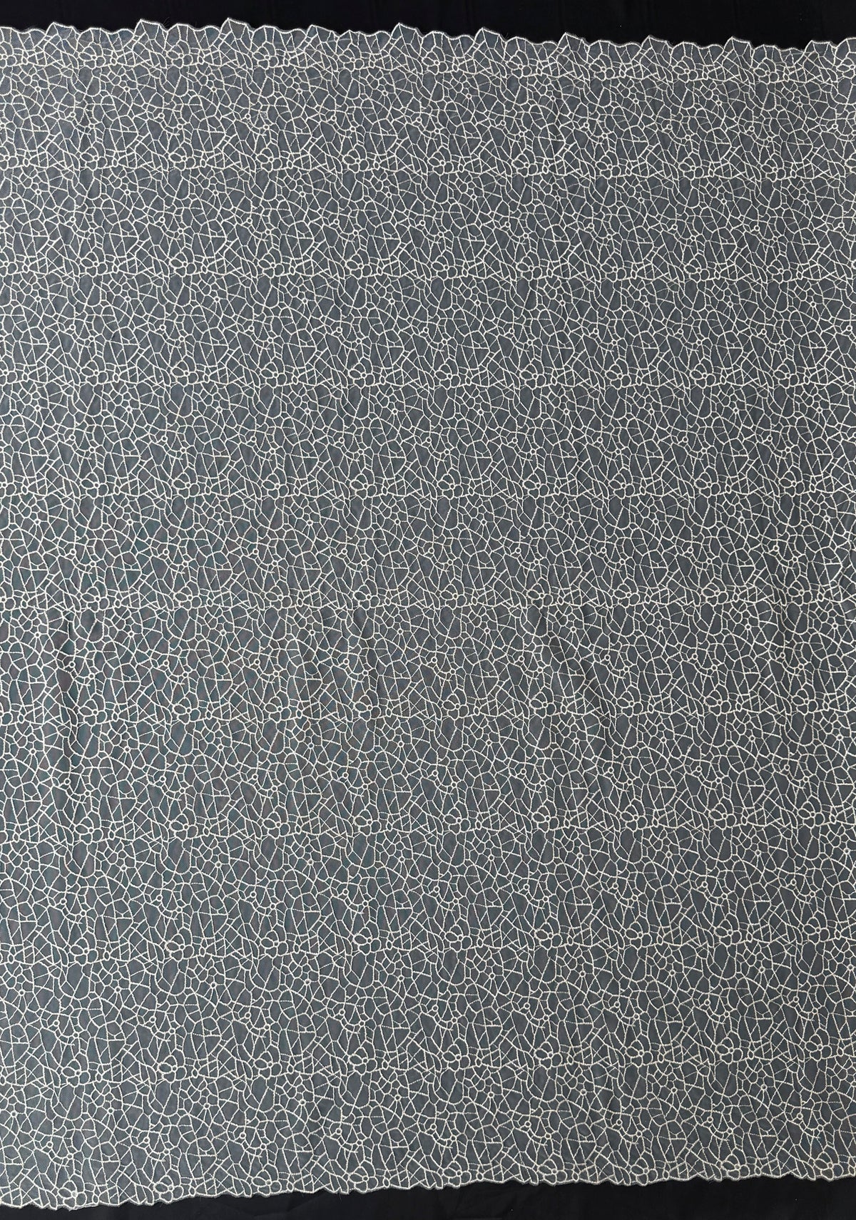 Gold Embroidery Lace - EB5023
