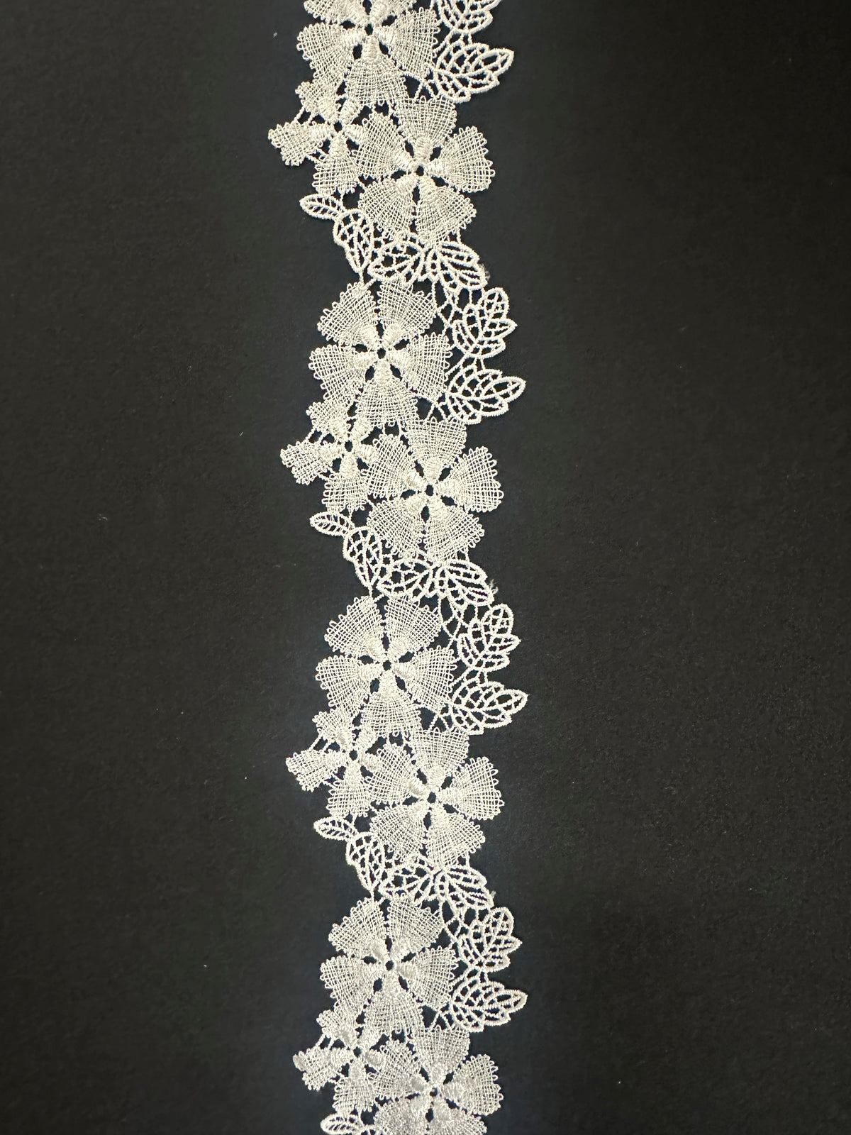 Ivory Lace Trim - Elm