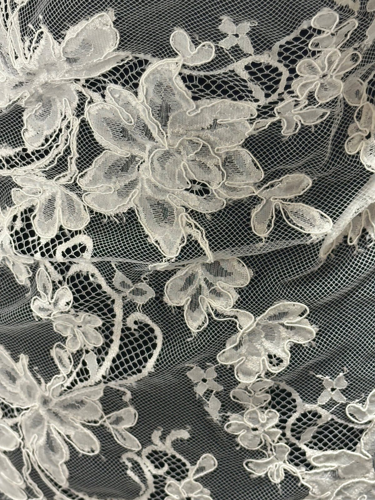 Ivory Corded Lace – Fia