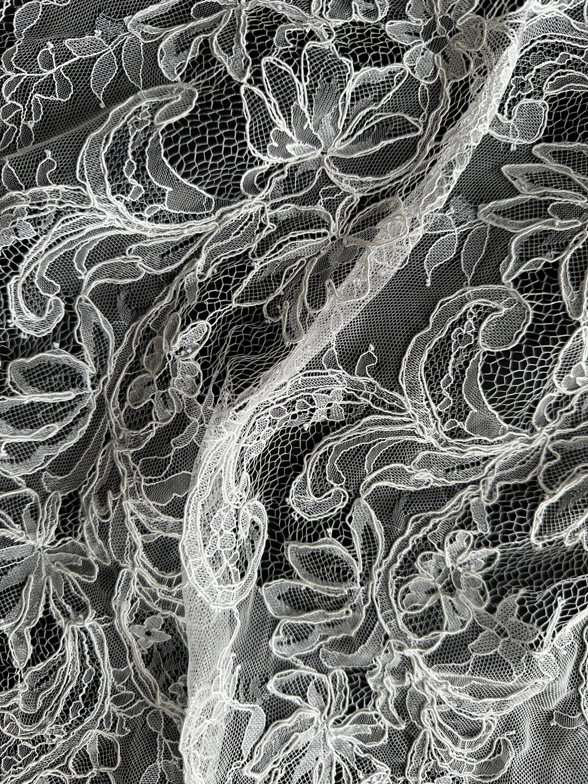 Ivory Corded Lace – Mercer