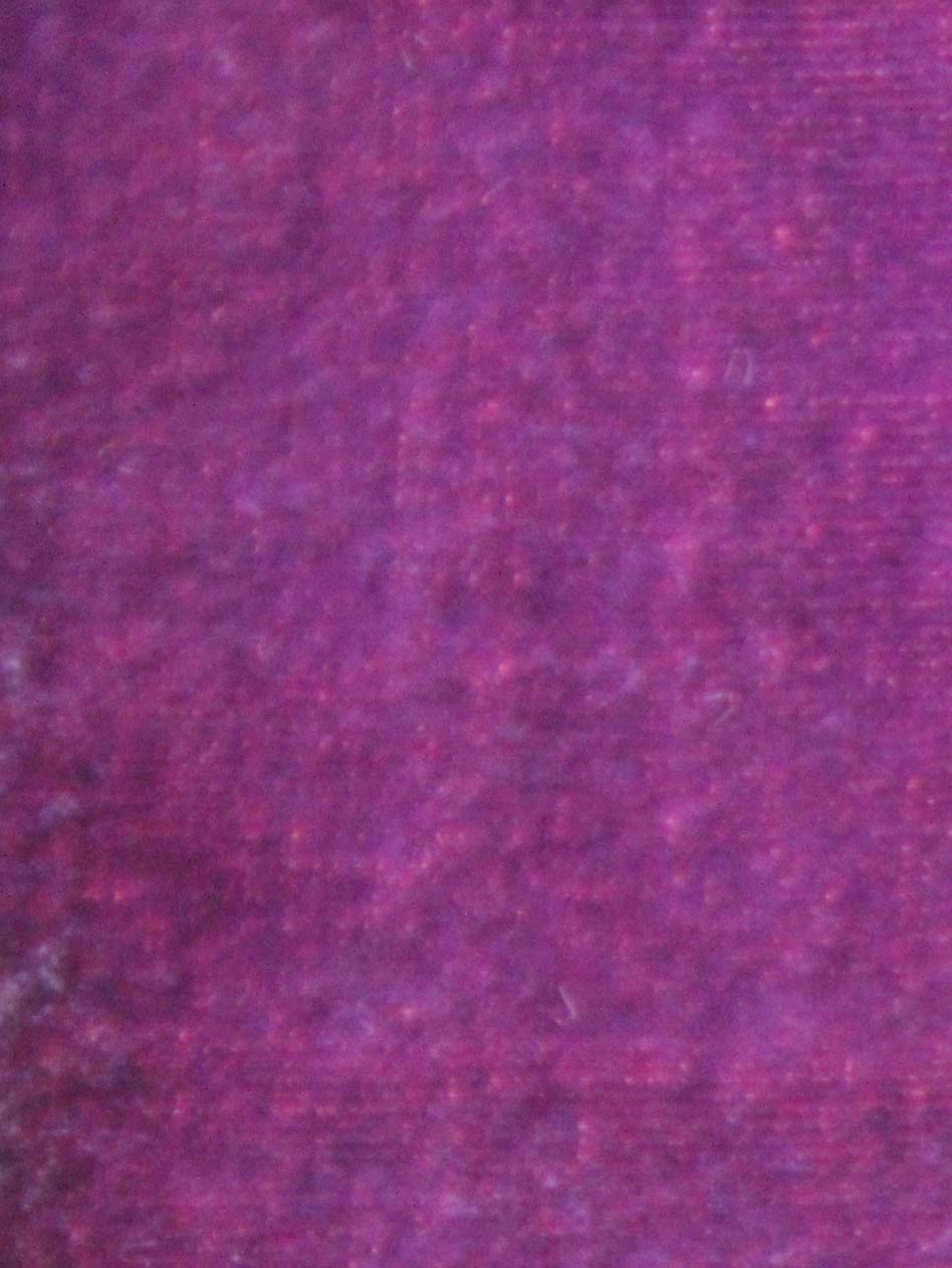 Purple Silk Velvet - Indulgence