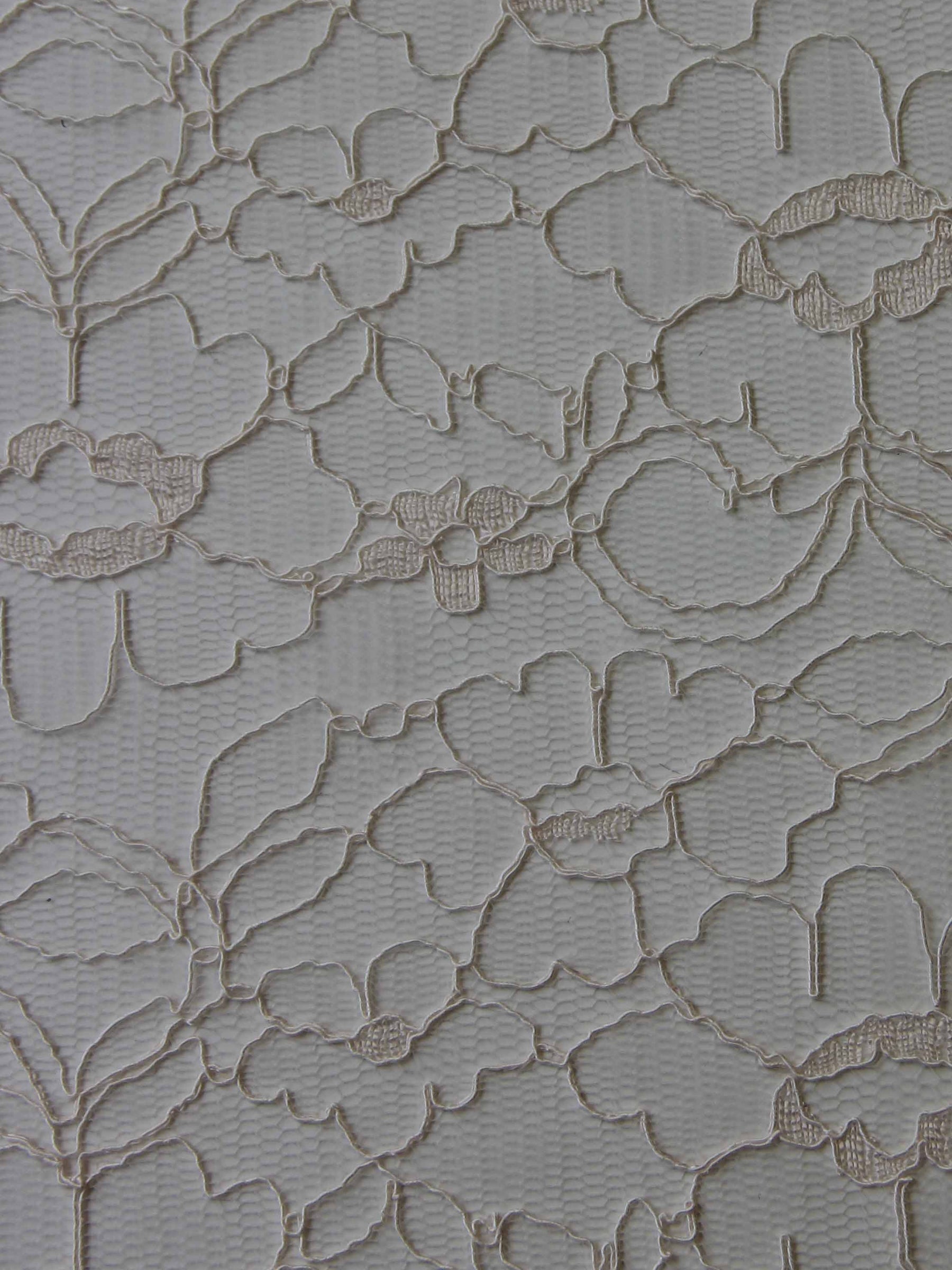 Blush Pink Lace - Leanne