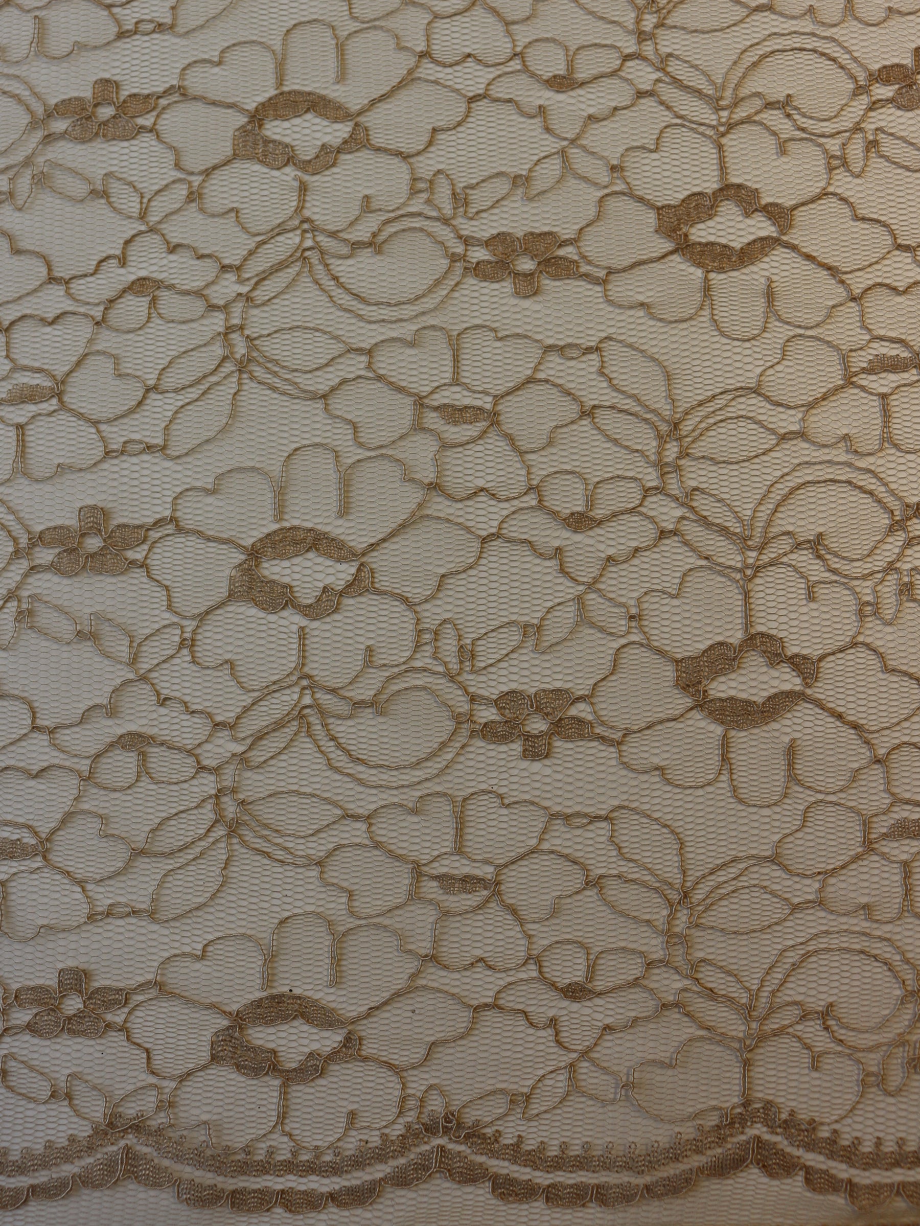 Cappuccino Corded Lace - Leanne