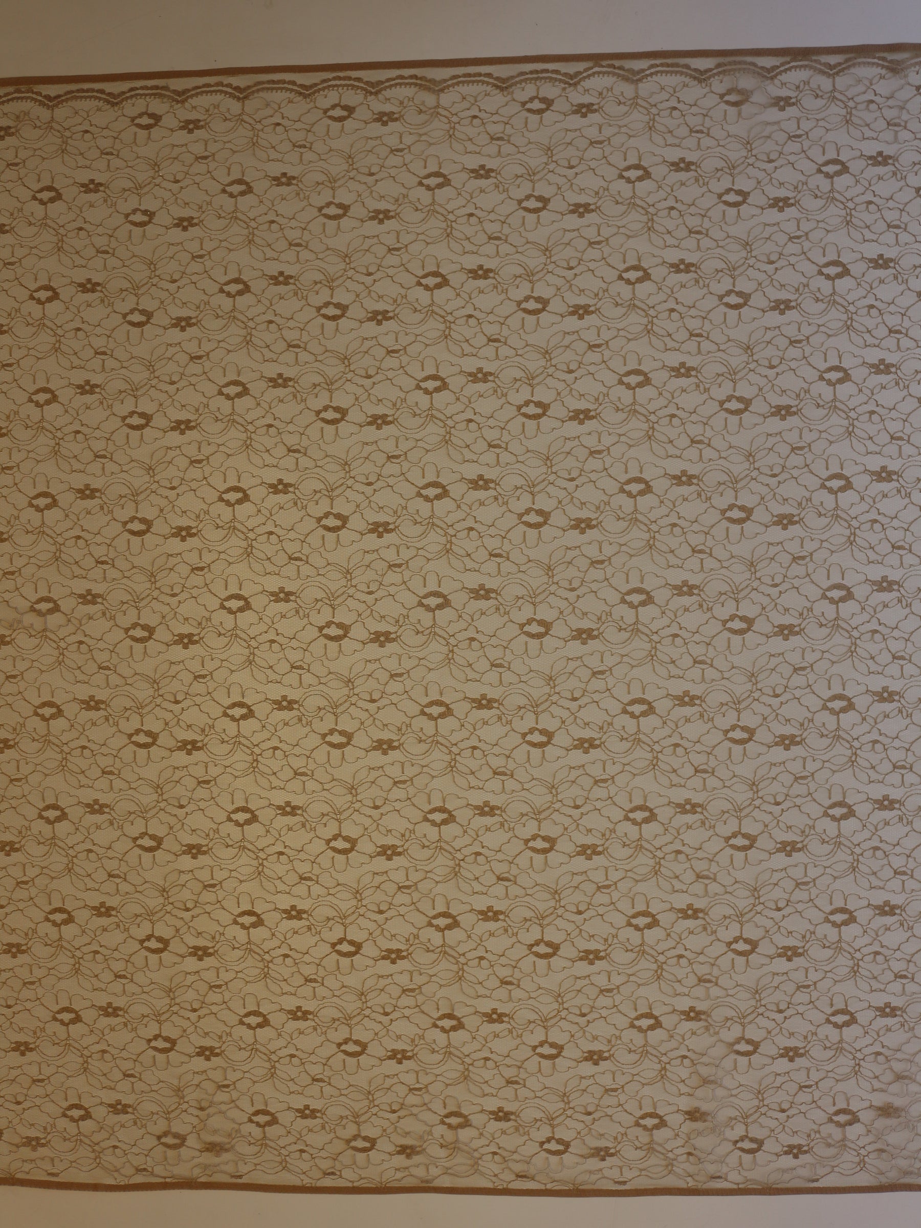 Cappuccino Corded Lace - Leanne