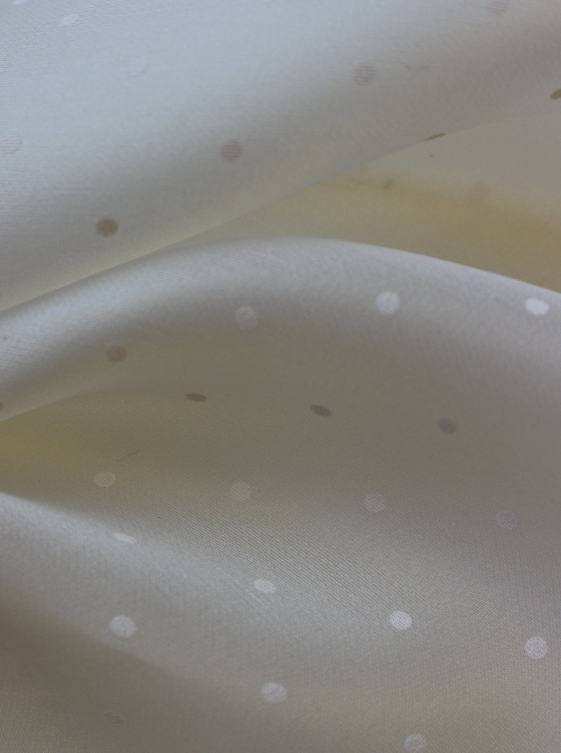 Ivory Silk Organza with Polka Dot Print - Punto