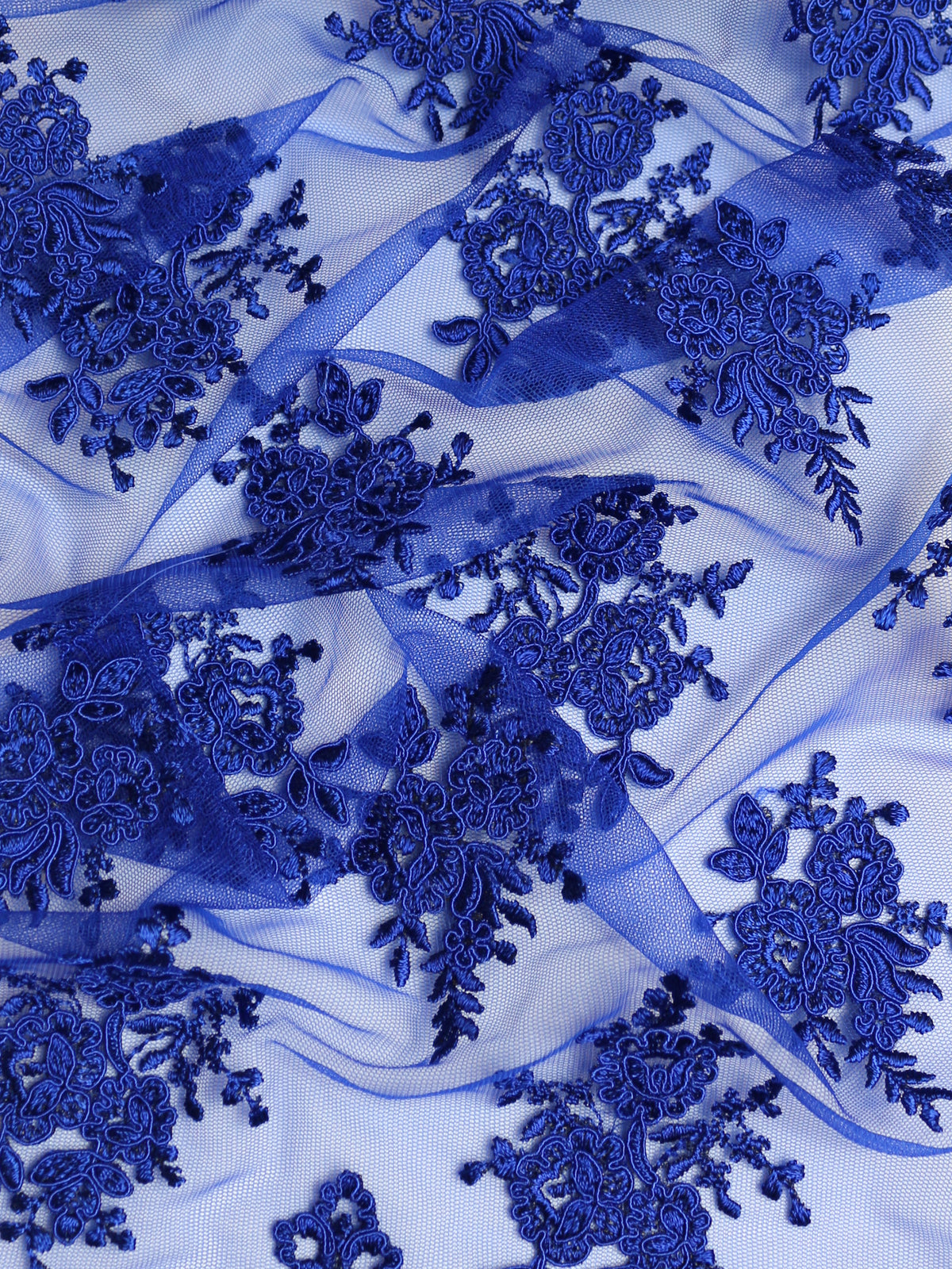 Royal Blue Corded Lace - Janis
