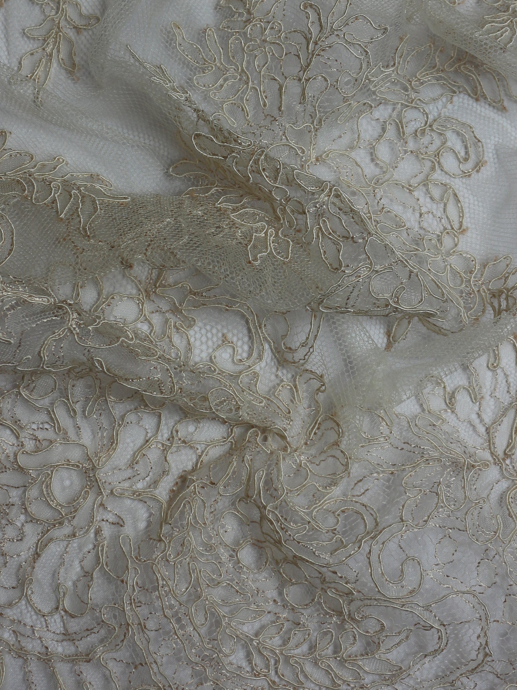 Champagne Corded Lace - Millicent