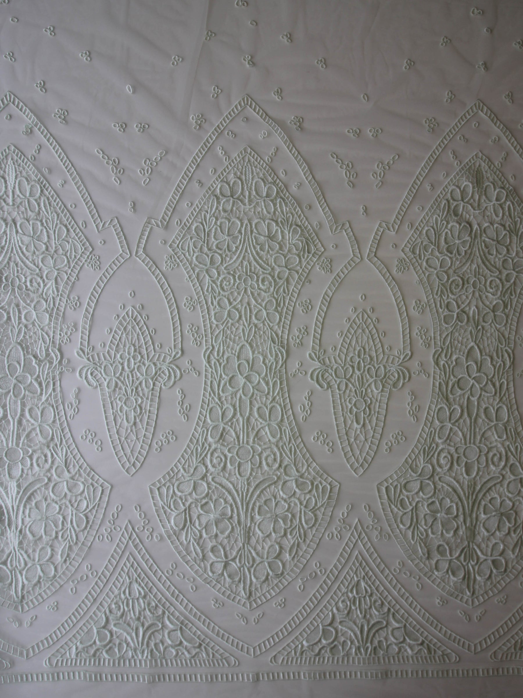 Mint Embroidered Lace - Nyla