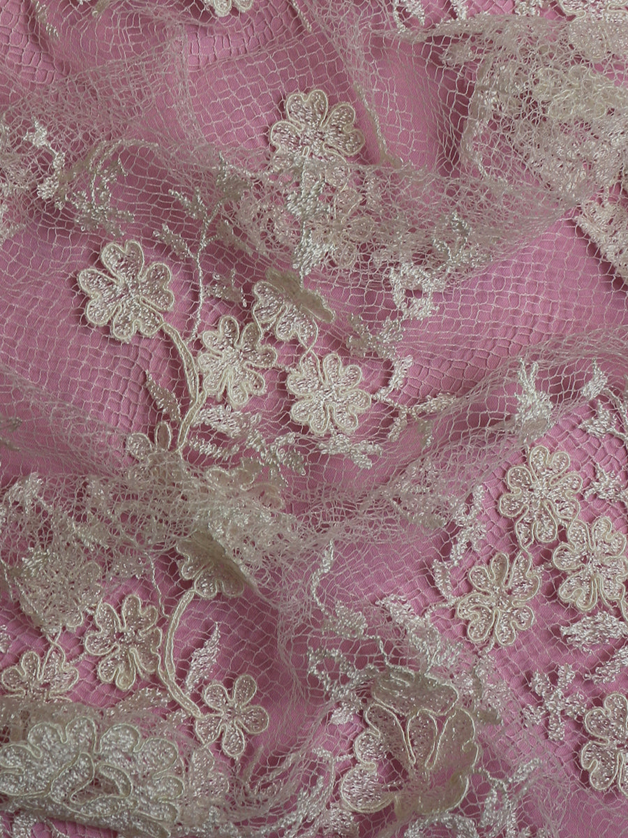 Ivory Corded Lace - Ottilie