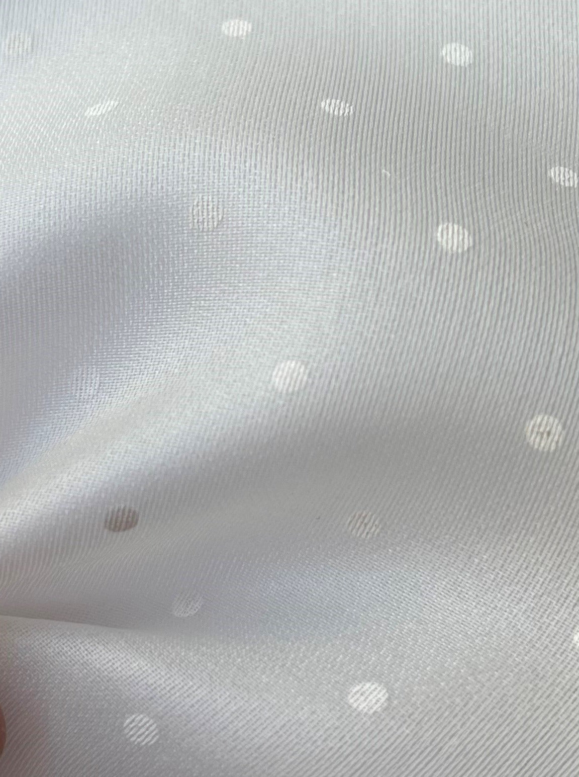 Ivory Silk Organza with Polka Dot Print - Punto