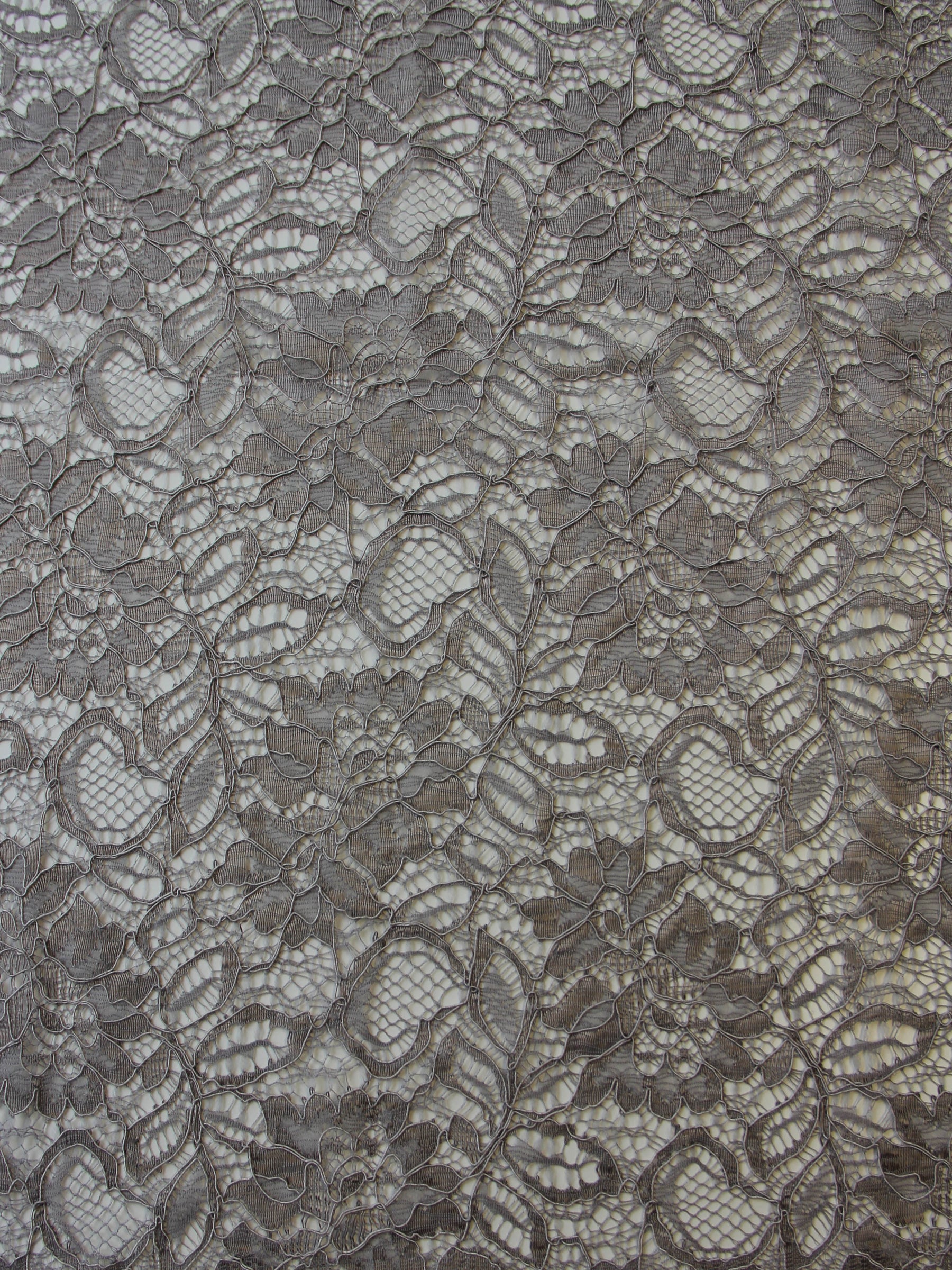 Steel Grey Corded Lace - Sinead