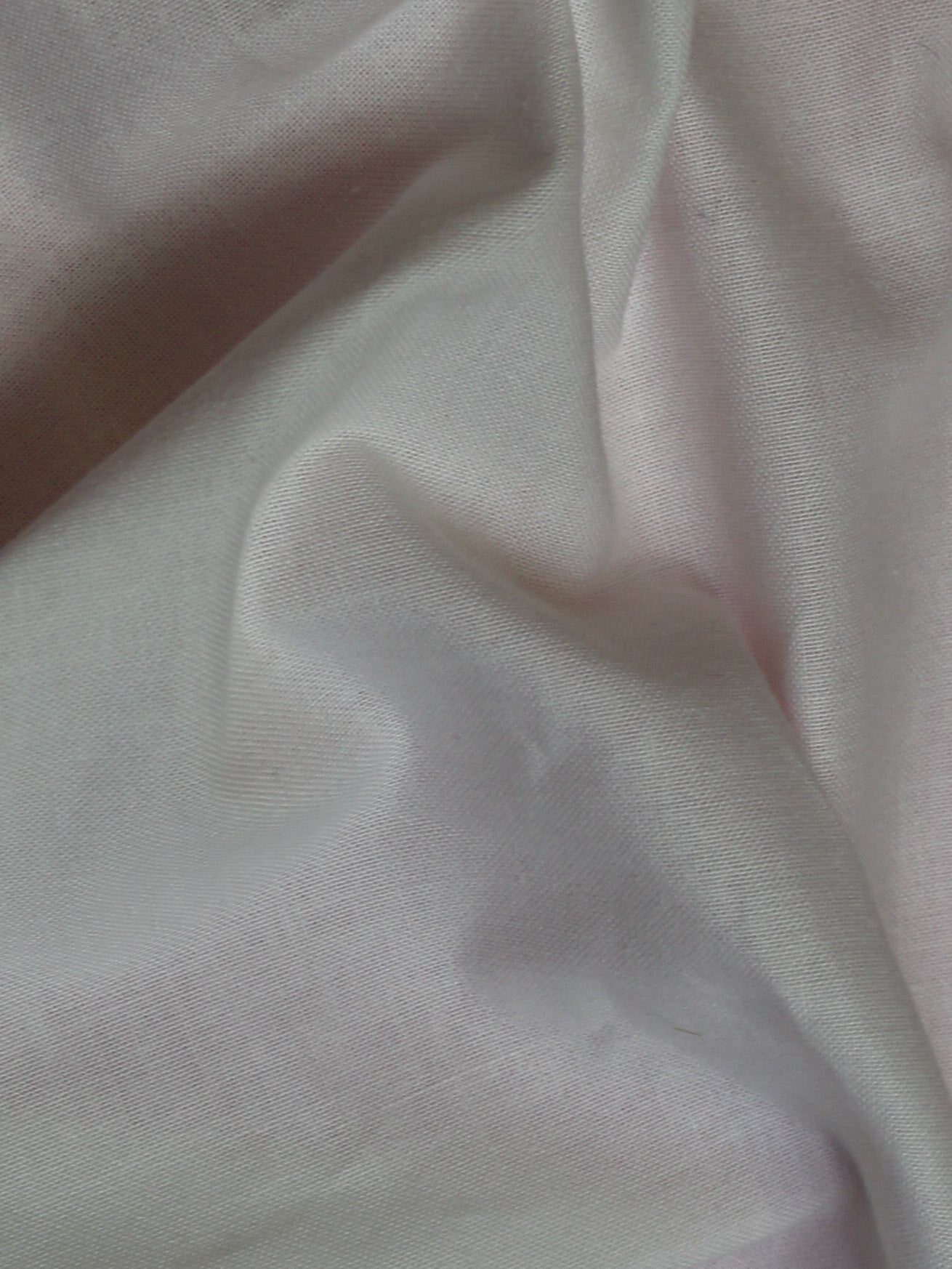 White Cotton Calico - Warwick
