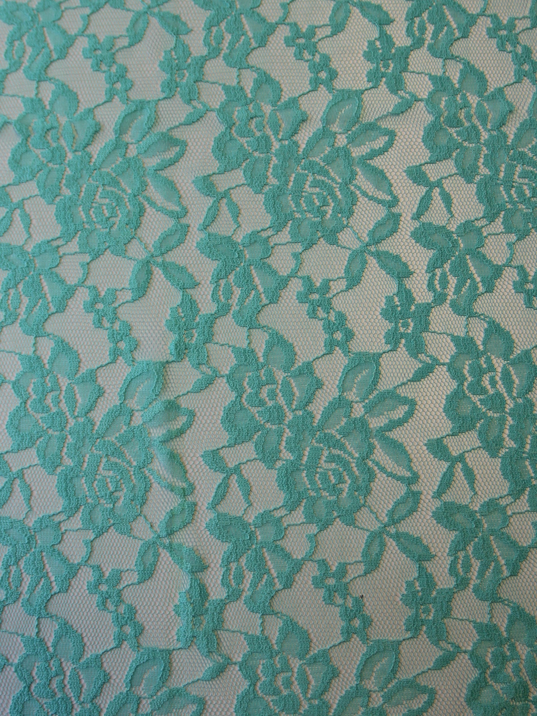 Aqua Raschel Stretch Lace - Evie