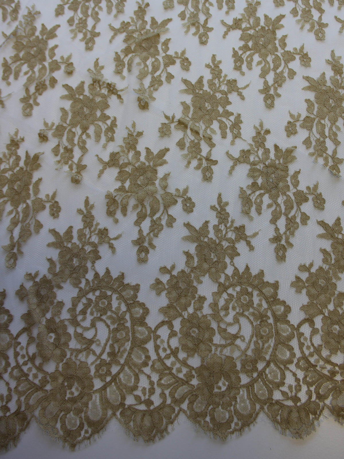 Sandy Beige Lace - Eleanor