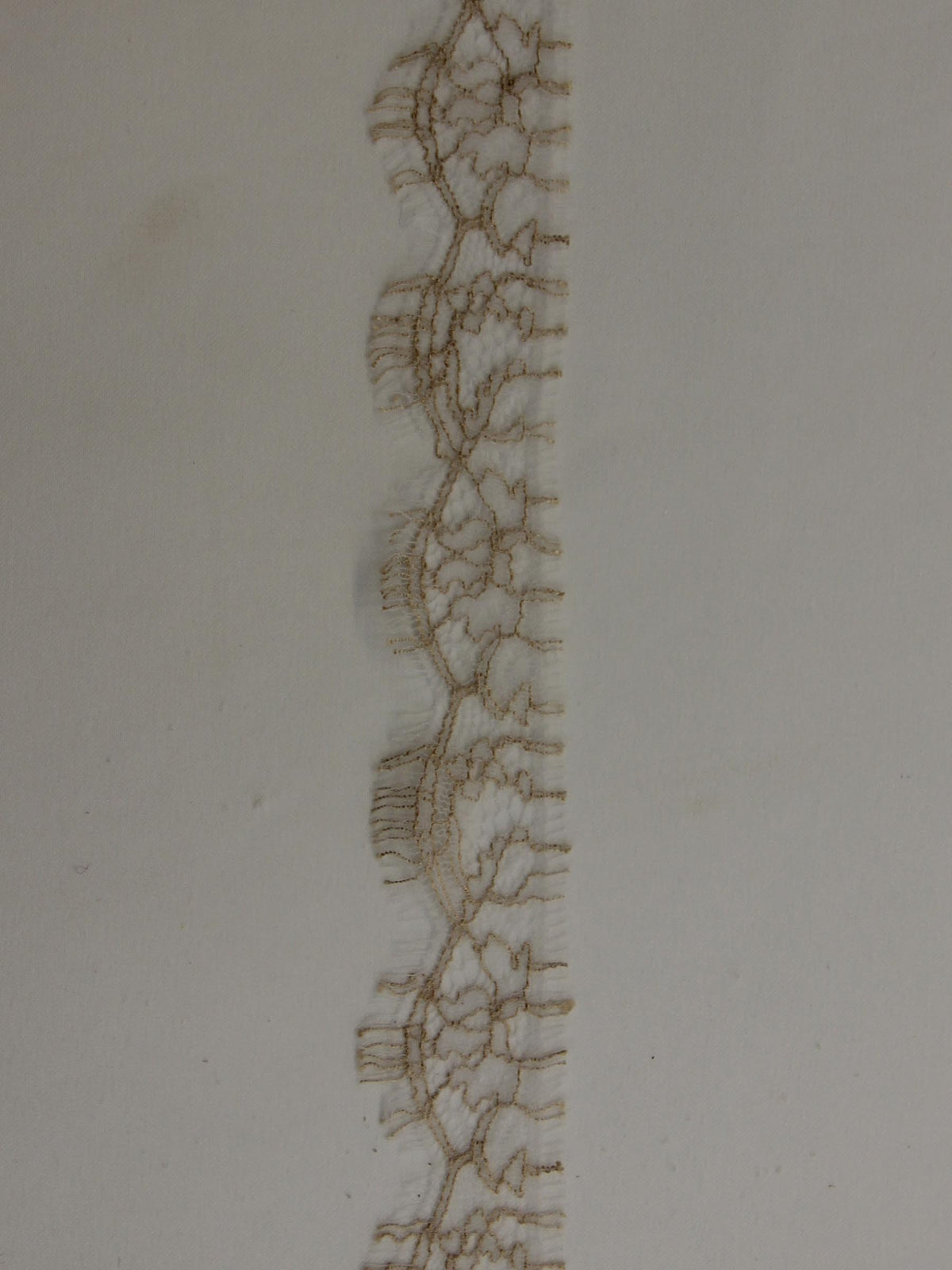 Sandy Beige Lace Trim - Anna