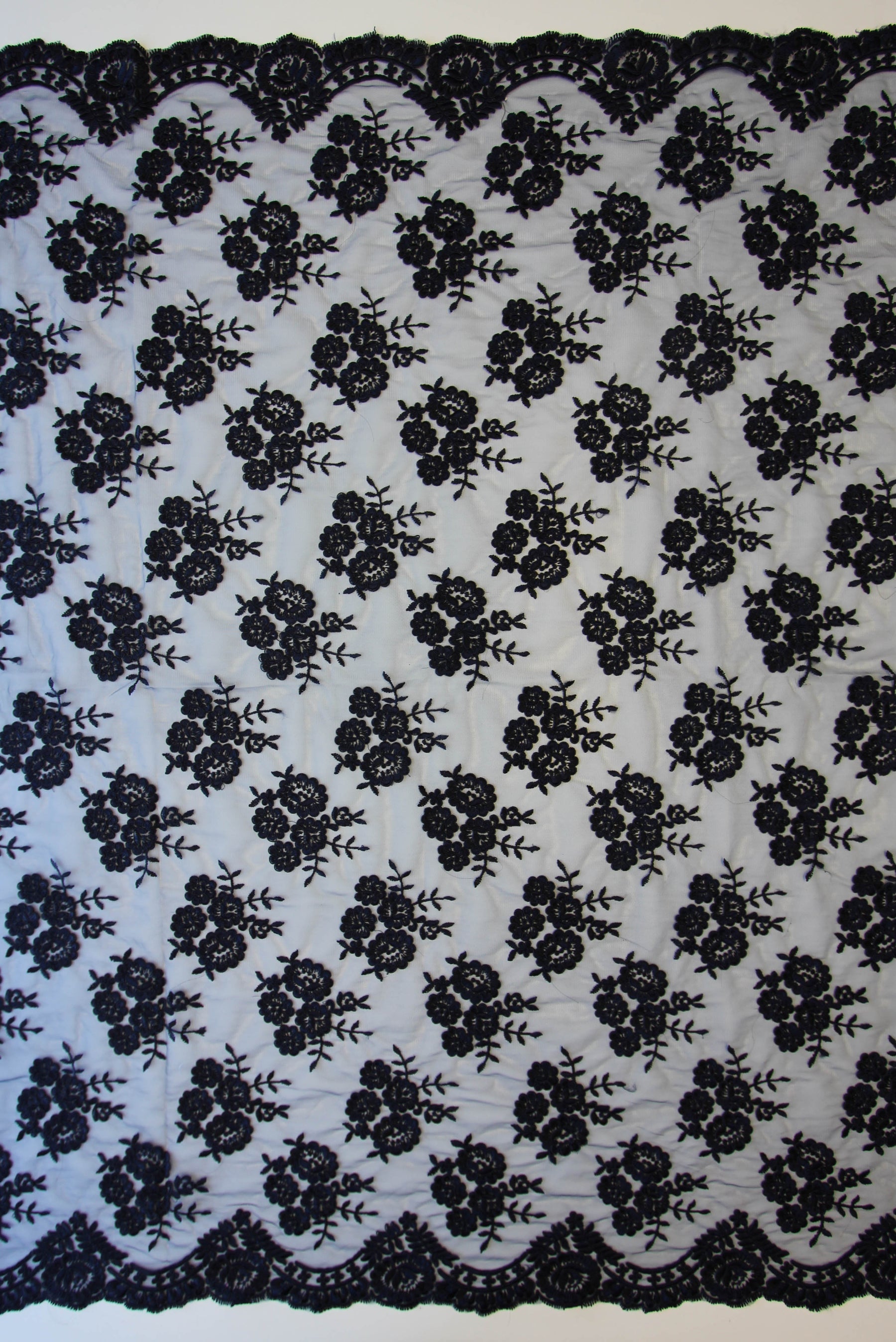 Black Corded Lace - Riaz