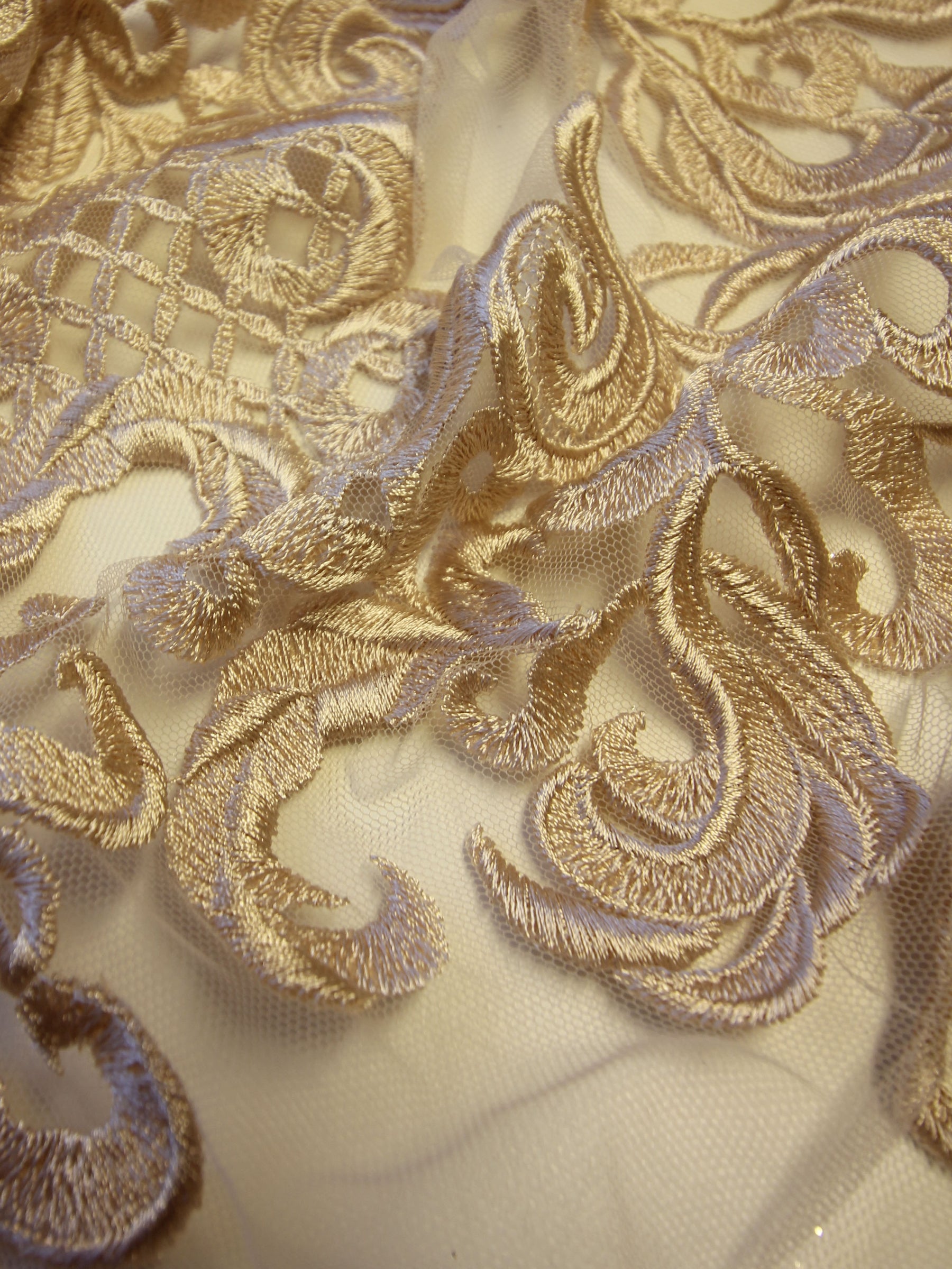 Champagne Embroidered Lace - Binta