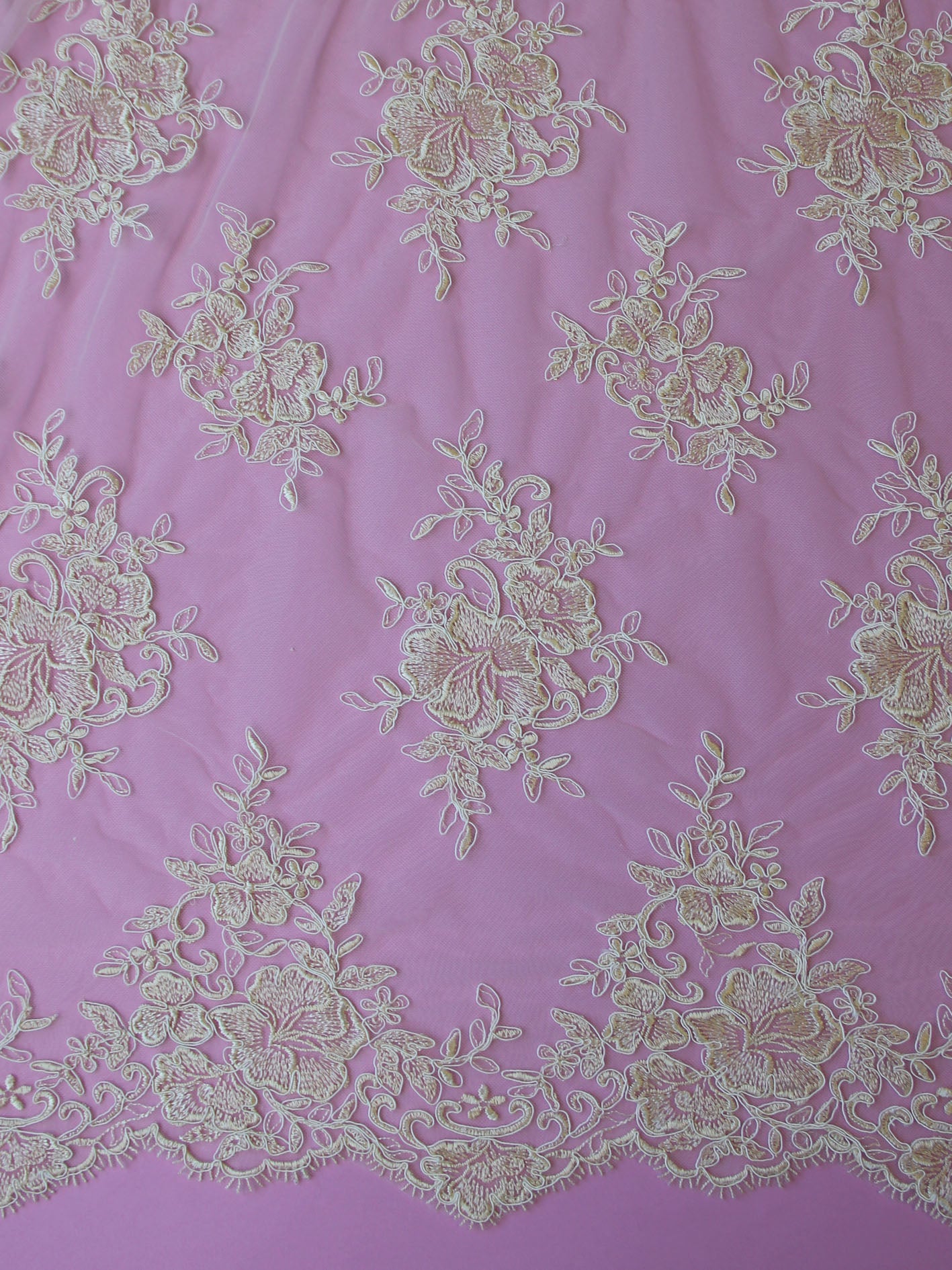 Champagne Corded Lace - Cecilia