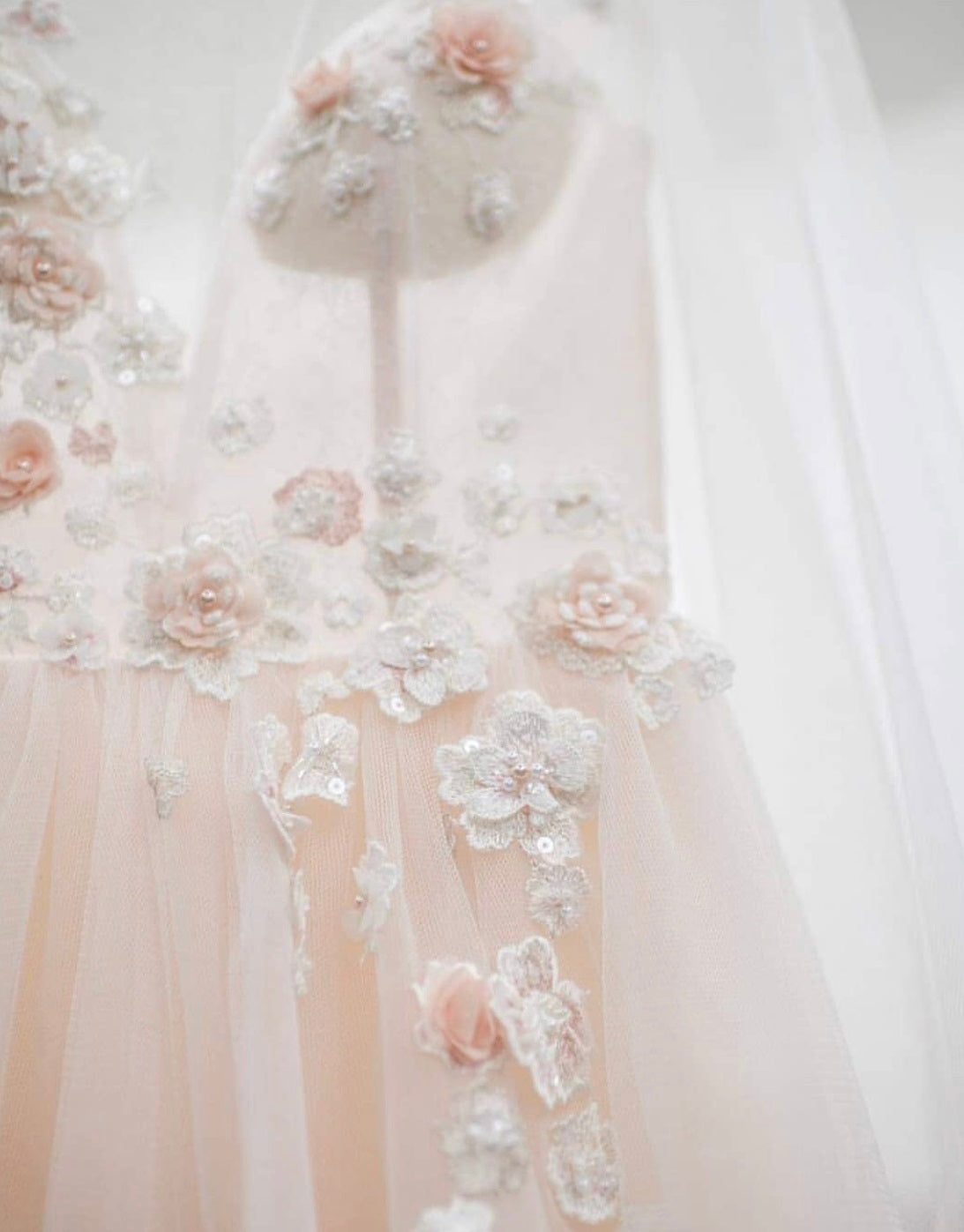 Ivory & Blush Beaded Lace - Eugenie