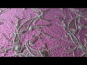 Ivory Beaded Paisley Lace - Amani