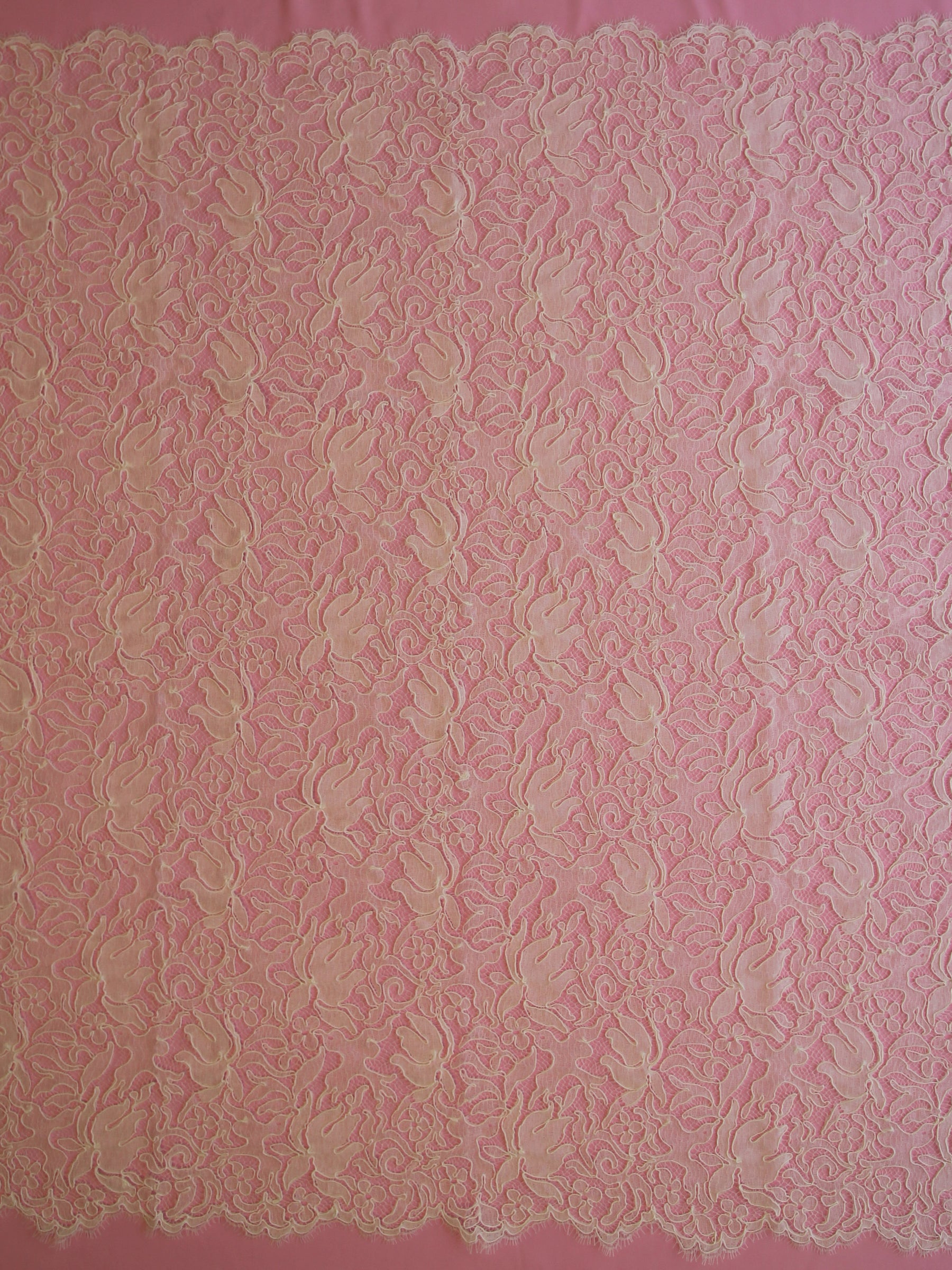 Ivory Corded Chantilly Lace - Fenella