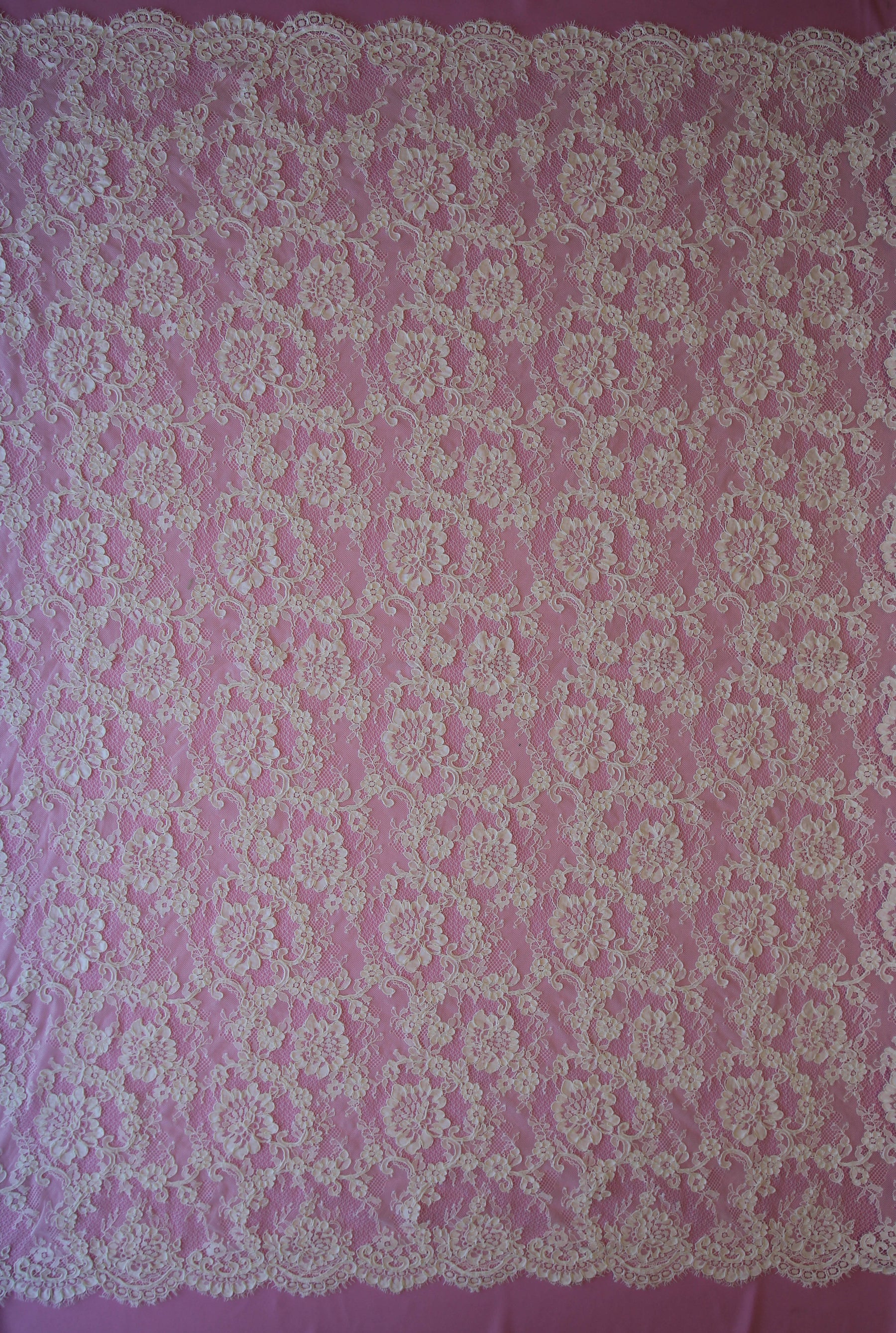 Ivory Corded Lace - Dionne