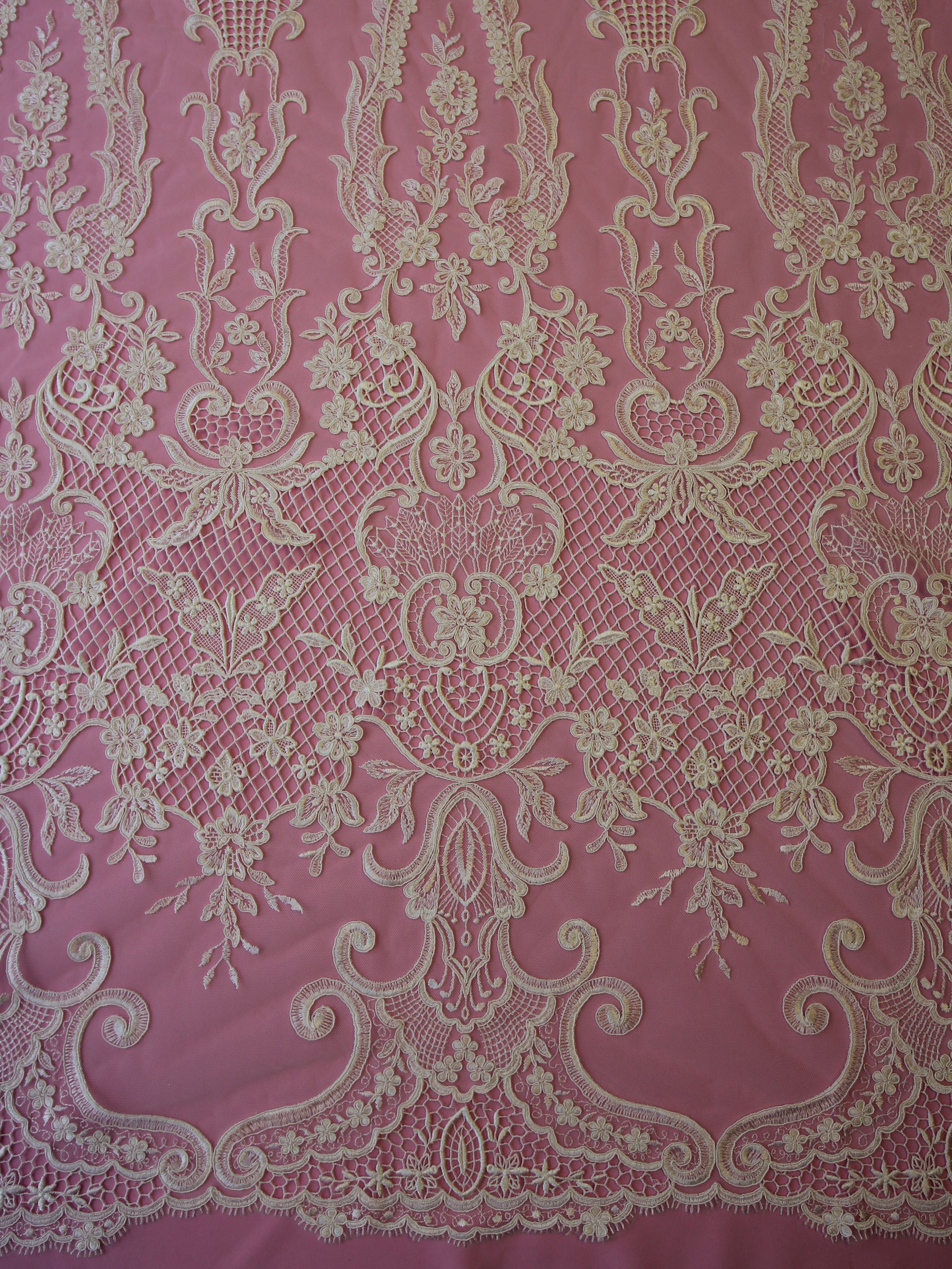 Ivory Corded Lace - Yolanda