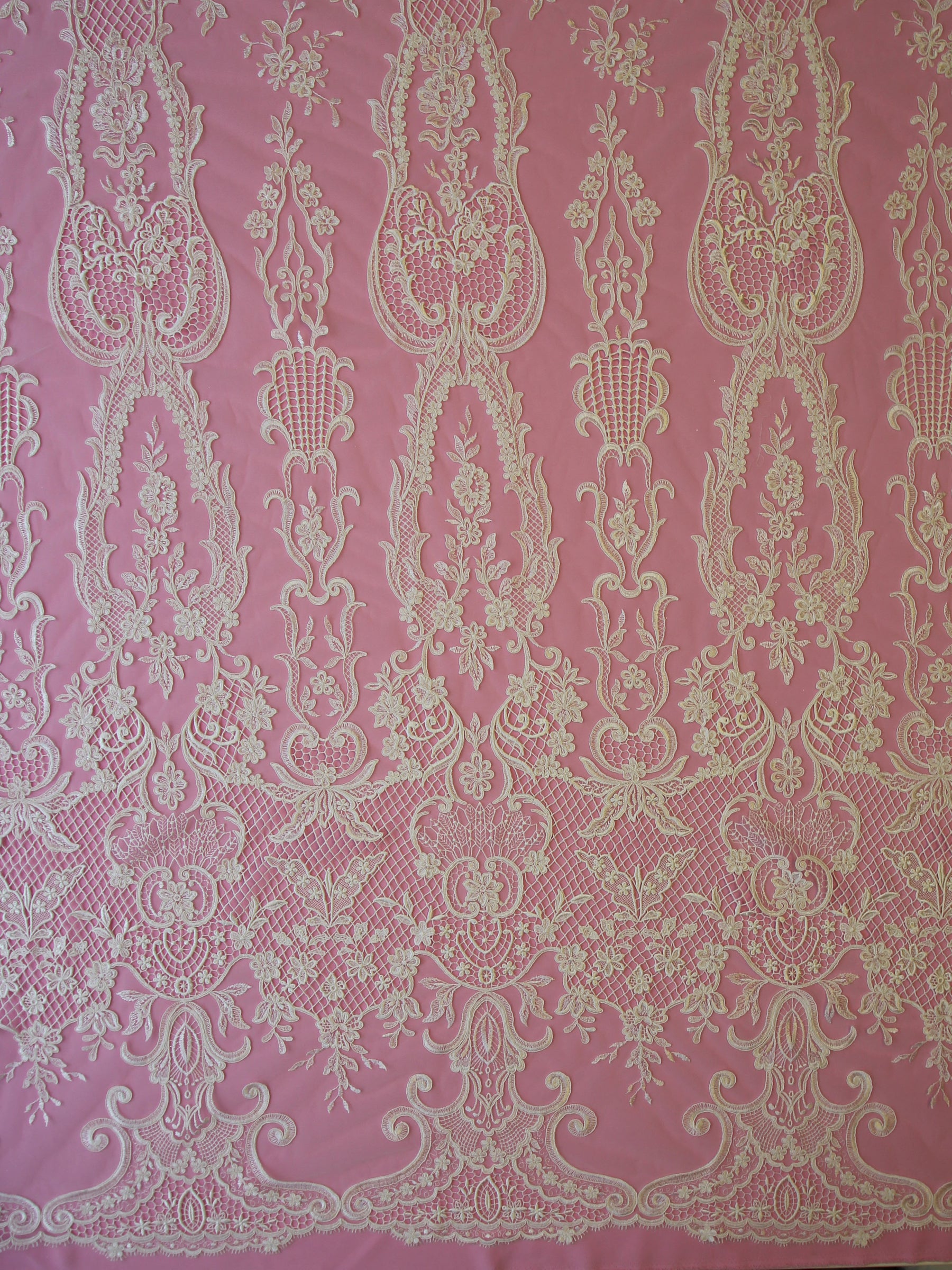 Ivory Corded Lace - Yolanda