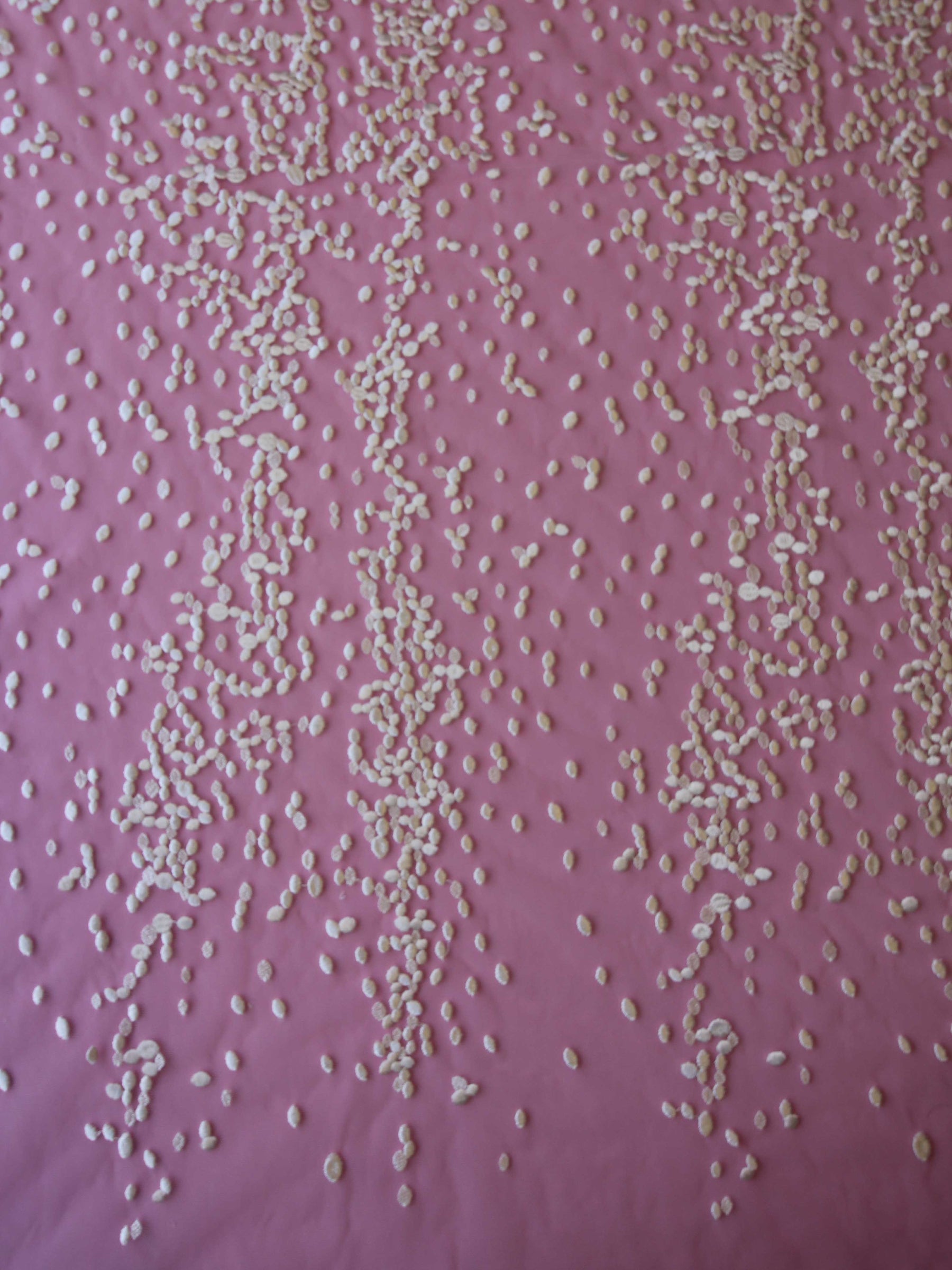 Ivory Embroidered Lace - Gabby