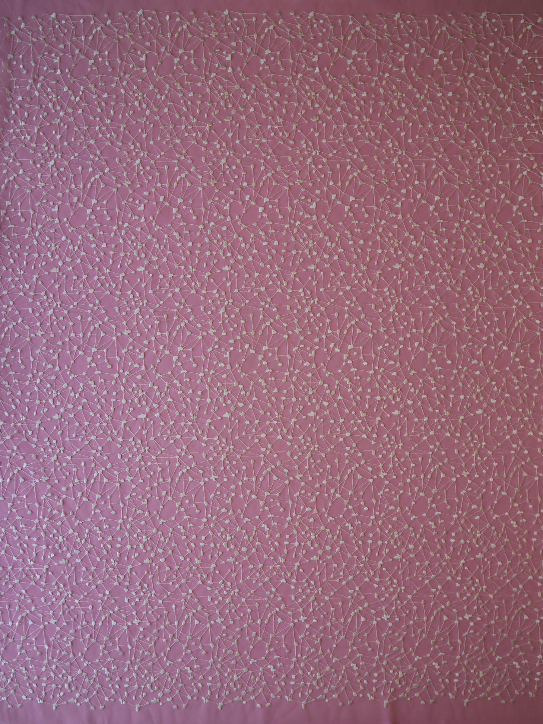 Ivory Embroidered Lace - Galileo