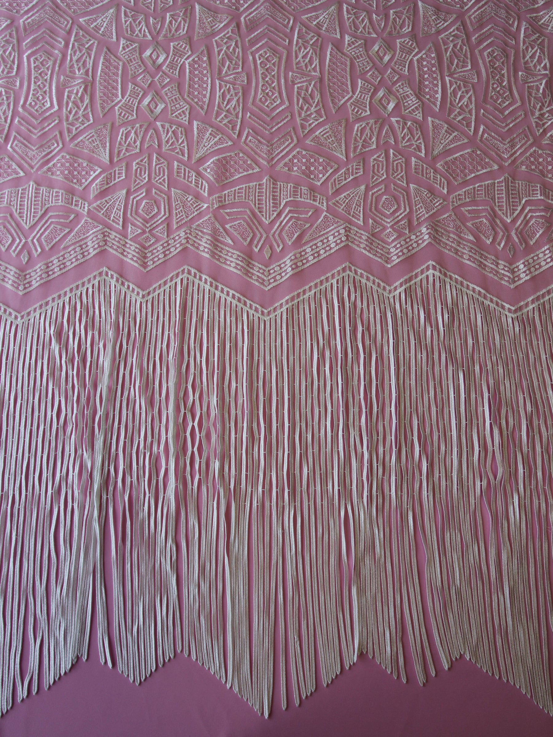 Ivory Fringed Embroidery Lace - Essence