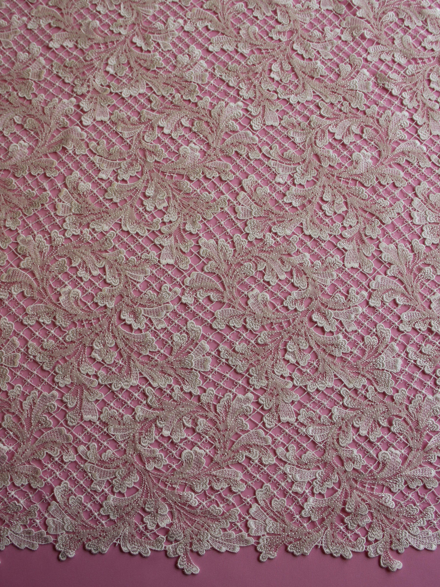 Ivory Embroidered Lace - Cassandra