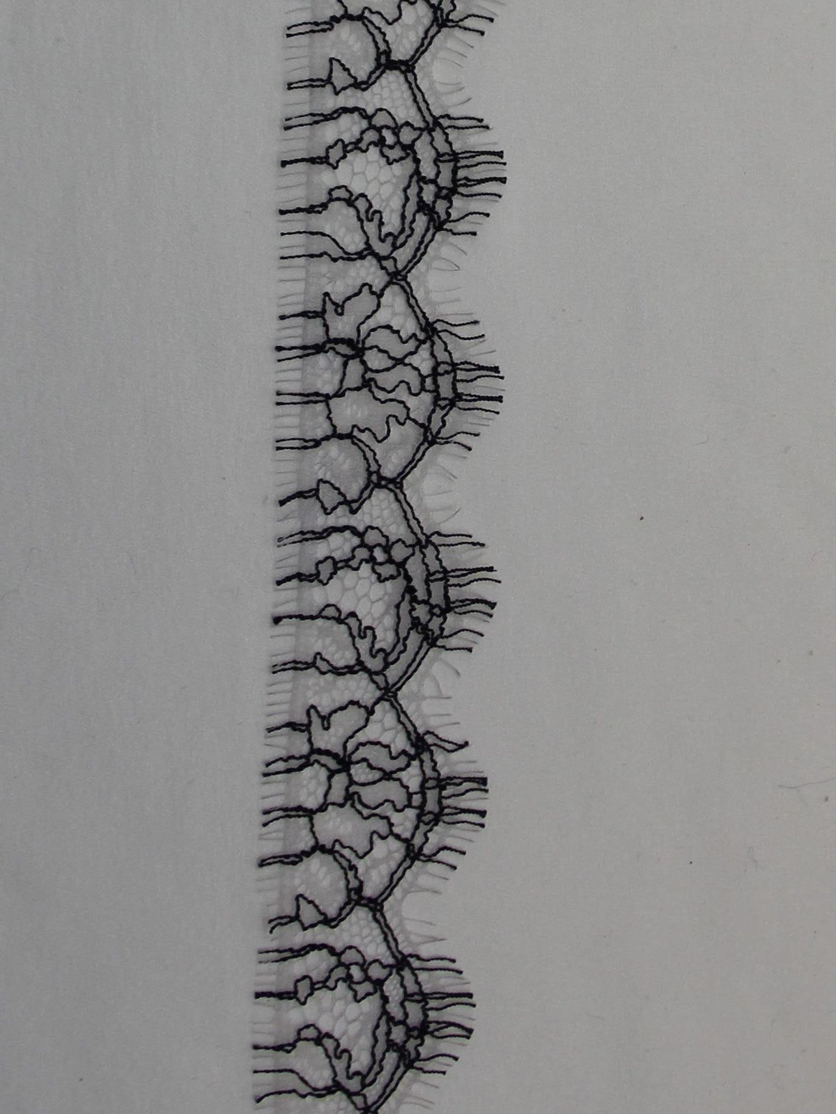 Navy Lace Trim - Anna