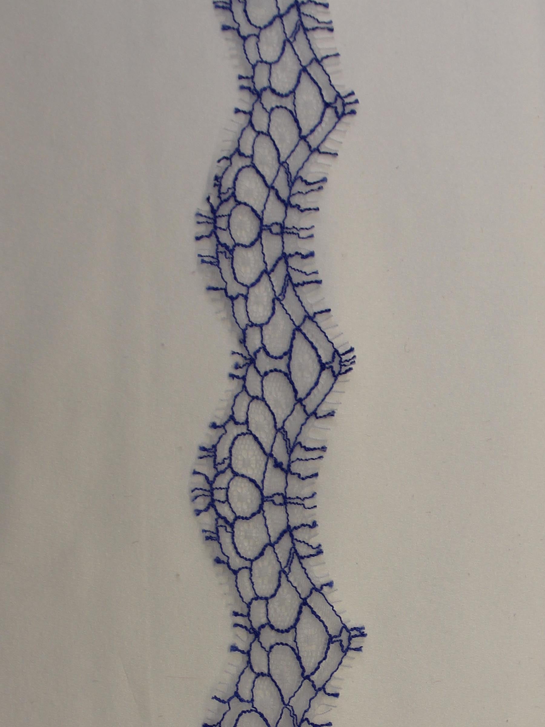 Ocean Blue Lace Trim - Darcey