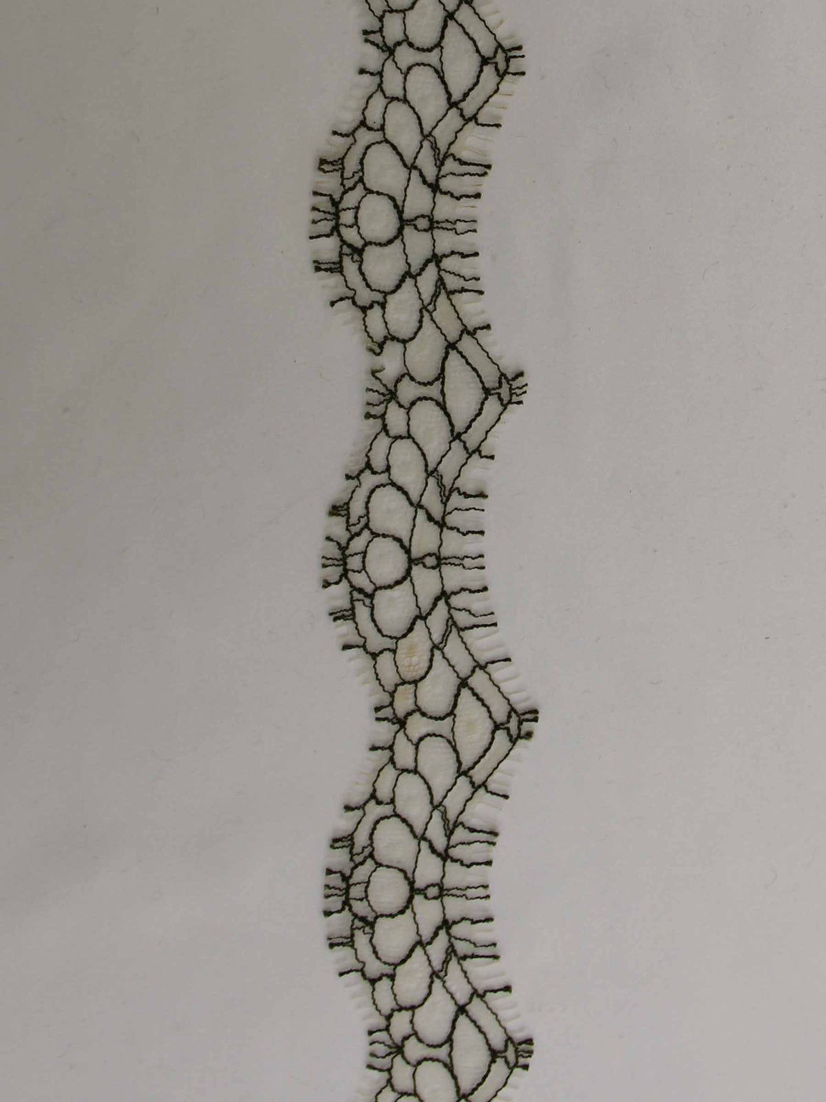 Olive Lace Trim - Darcey