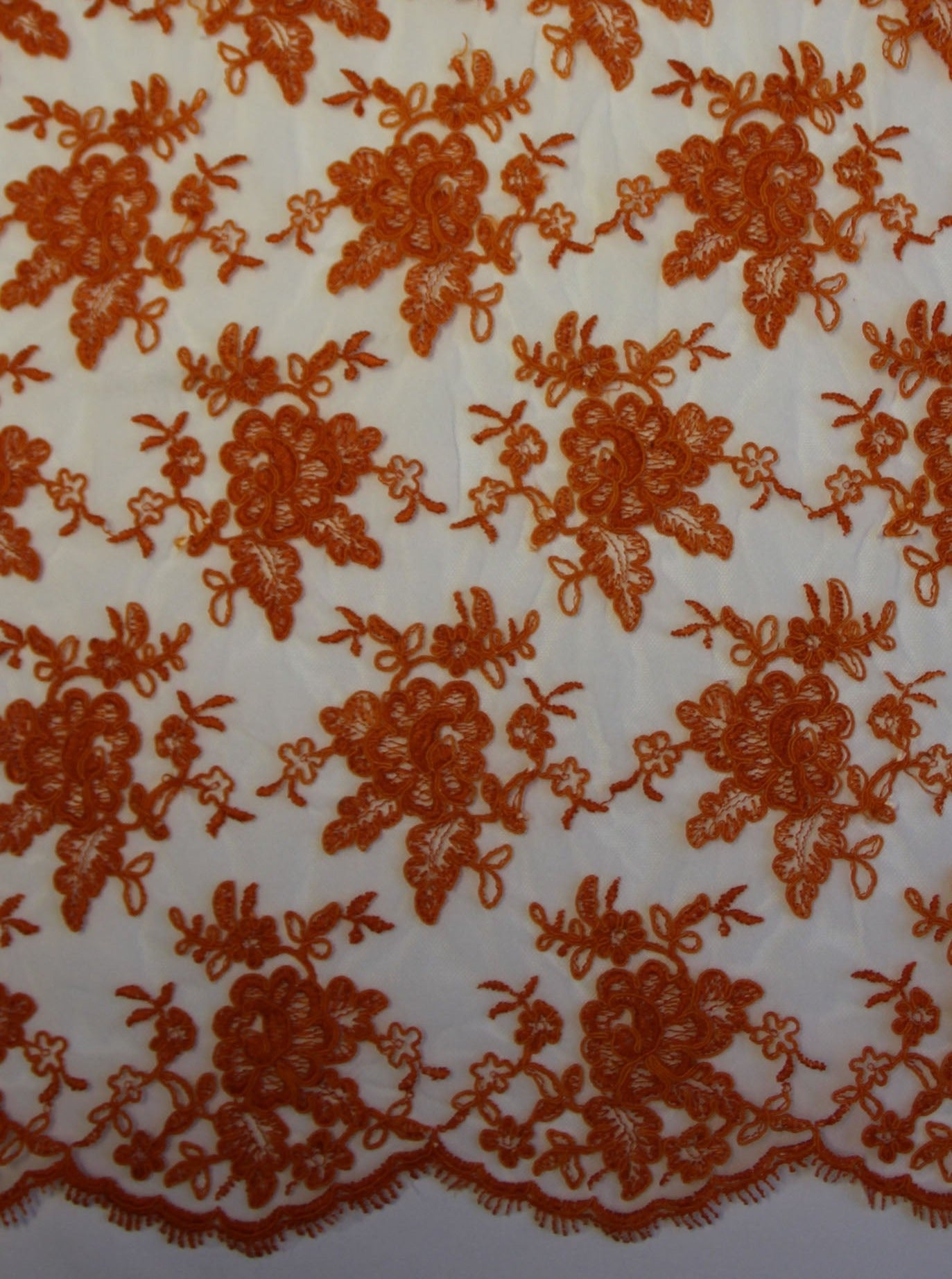 Fresh Orange Lace - Philippa