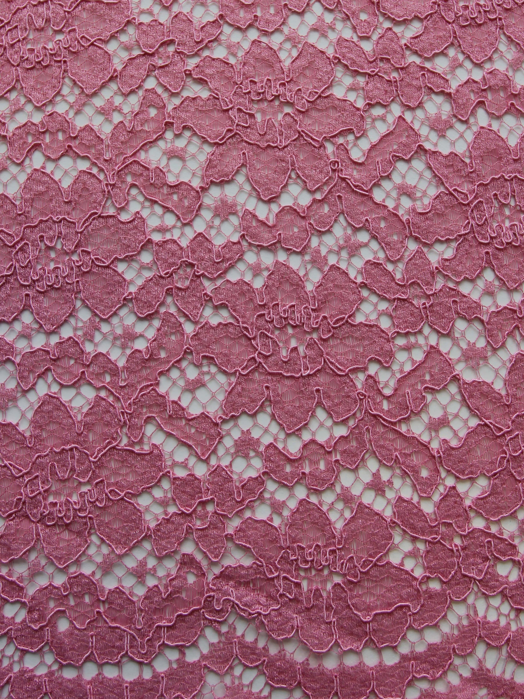 Pink Corded Lace - Shannon