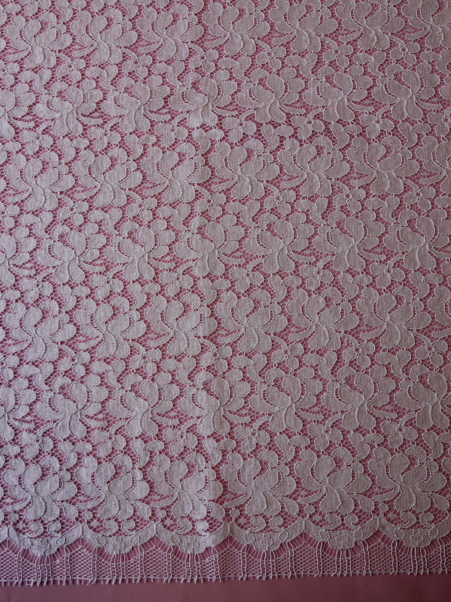 White Corded Chantilly Lace - Francine