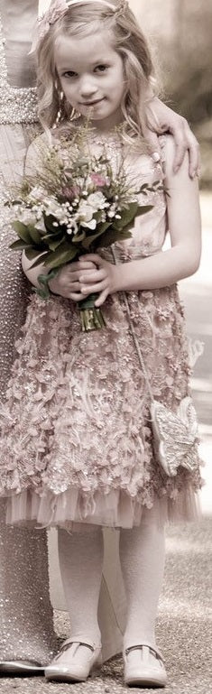 Drew antique rose dress2