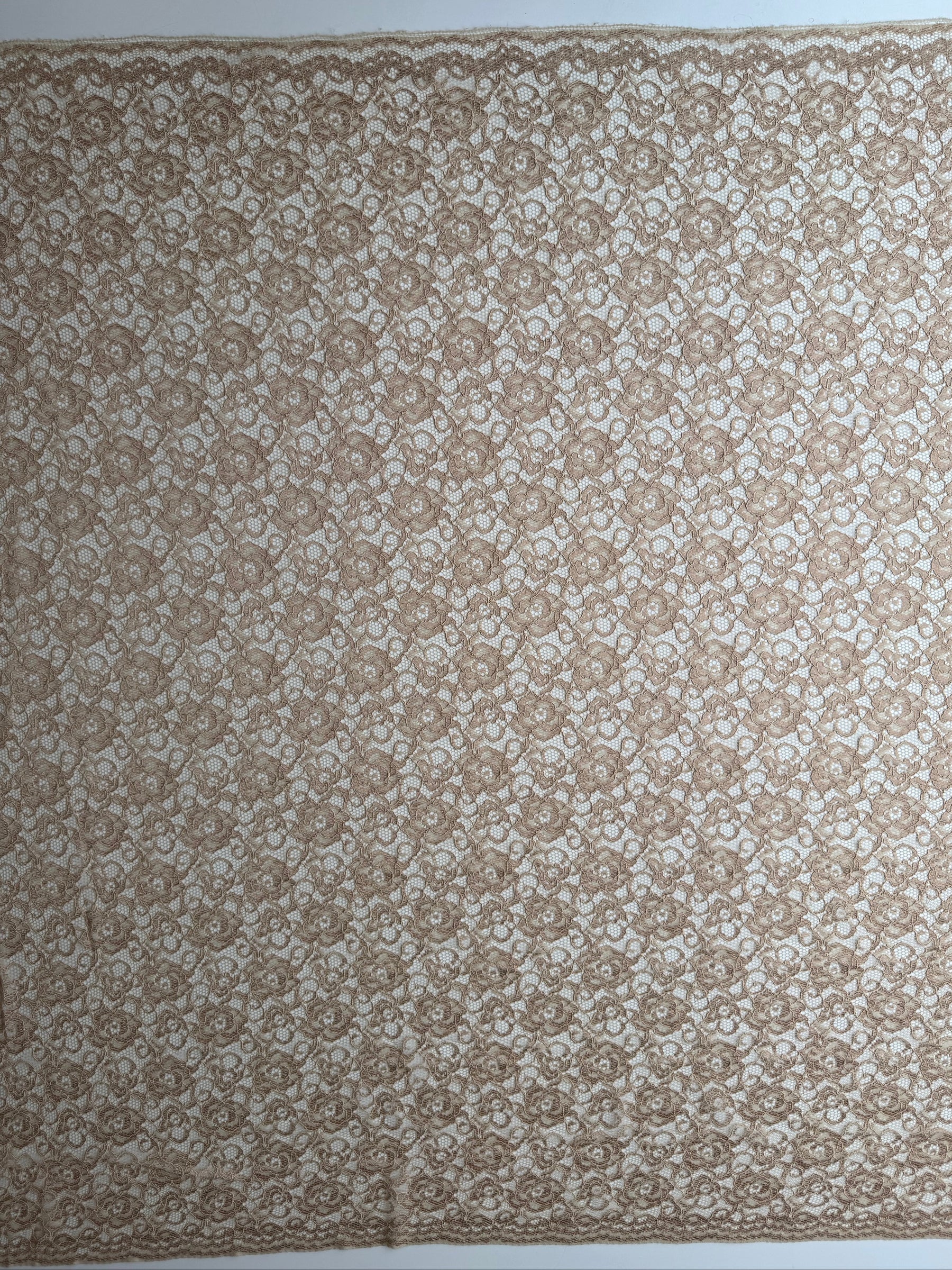 Beige Corded Stretch Lace - P619