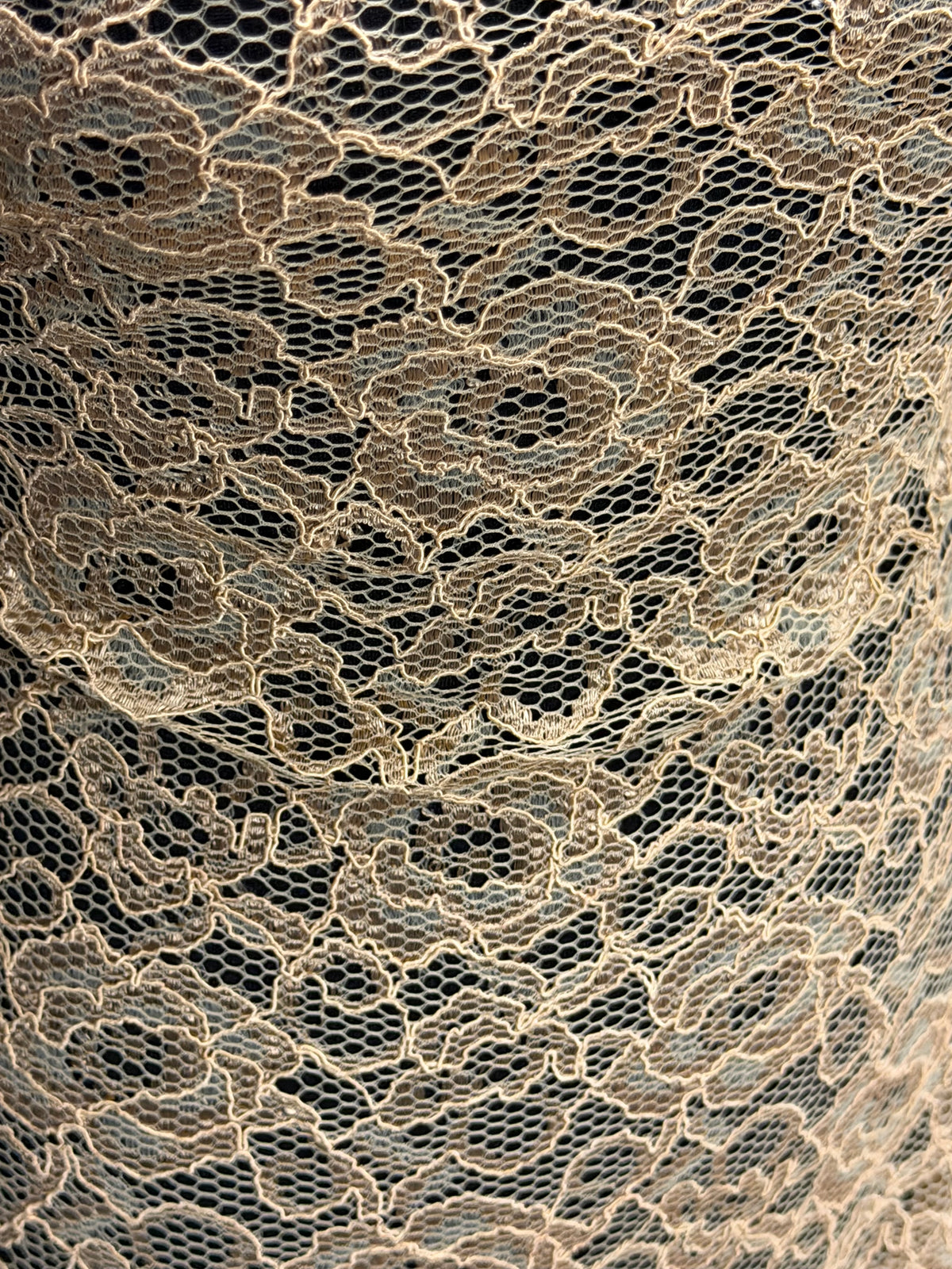 Beige Corded Stretch Lace - P619