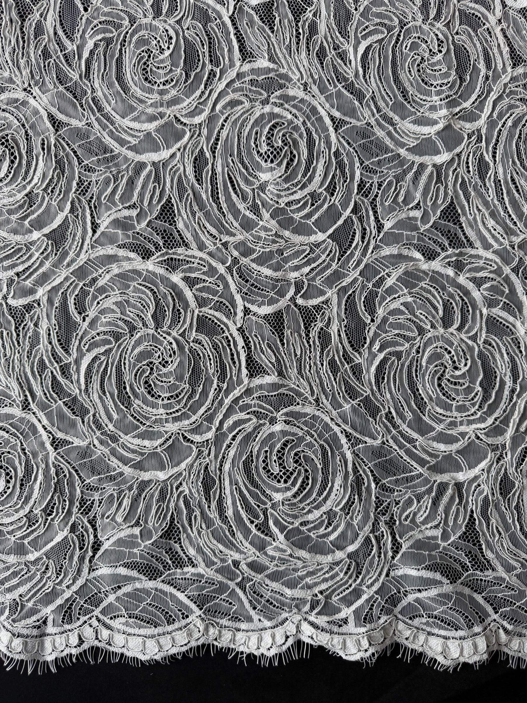 Ivory Corded Lace - Asani