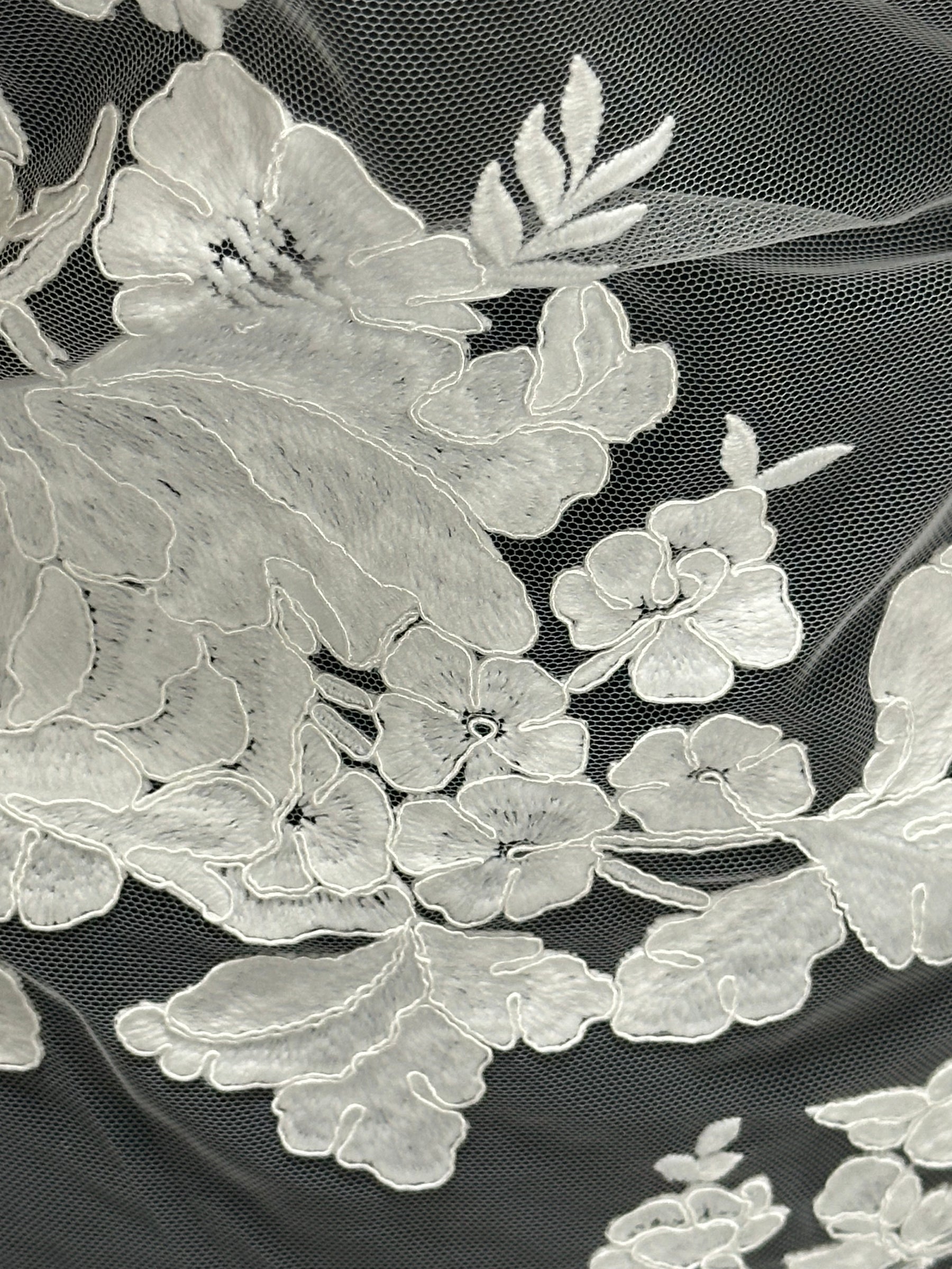 Ivory Corded Lace - Gossip