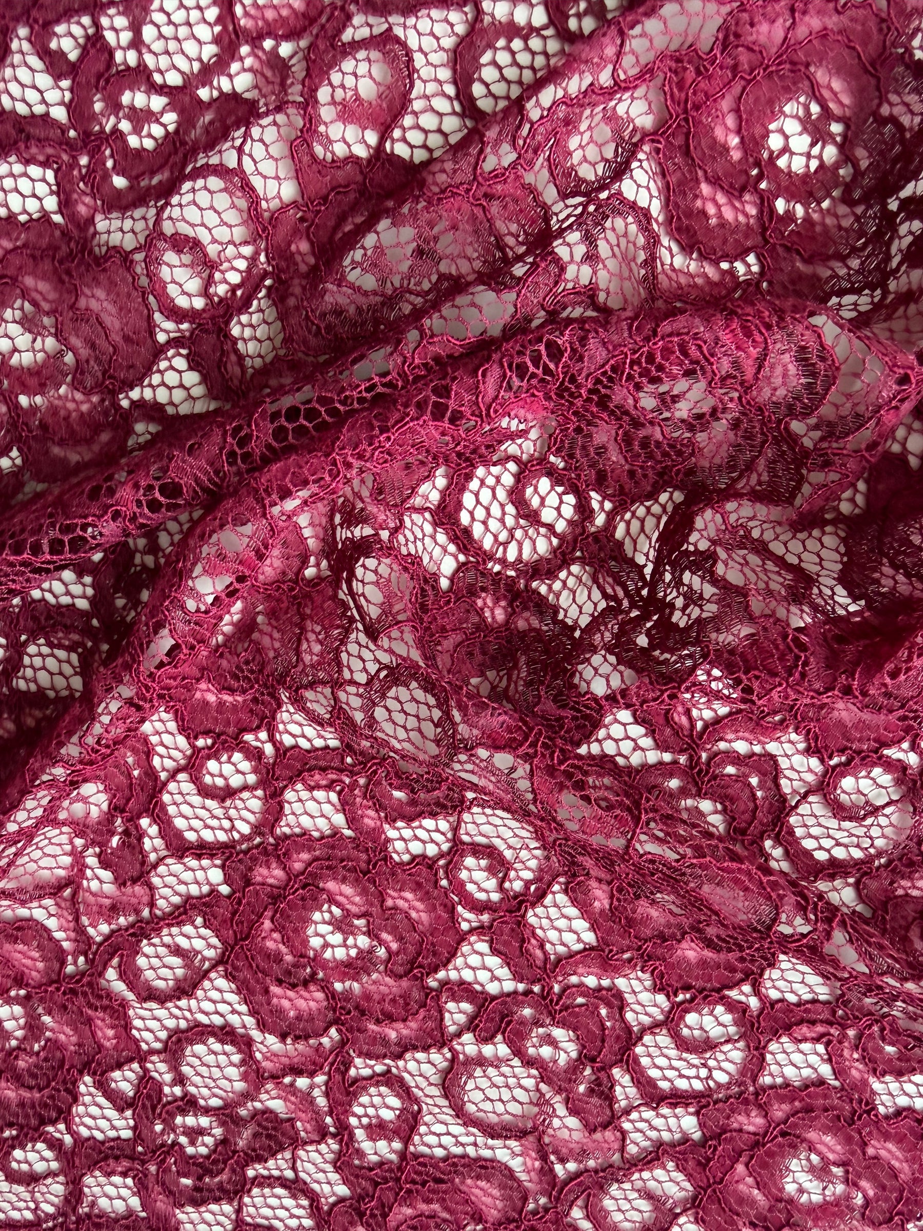 Wine Corded Stretch Lace - P619